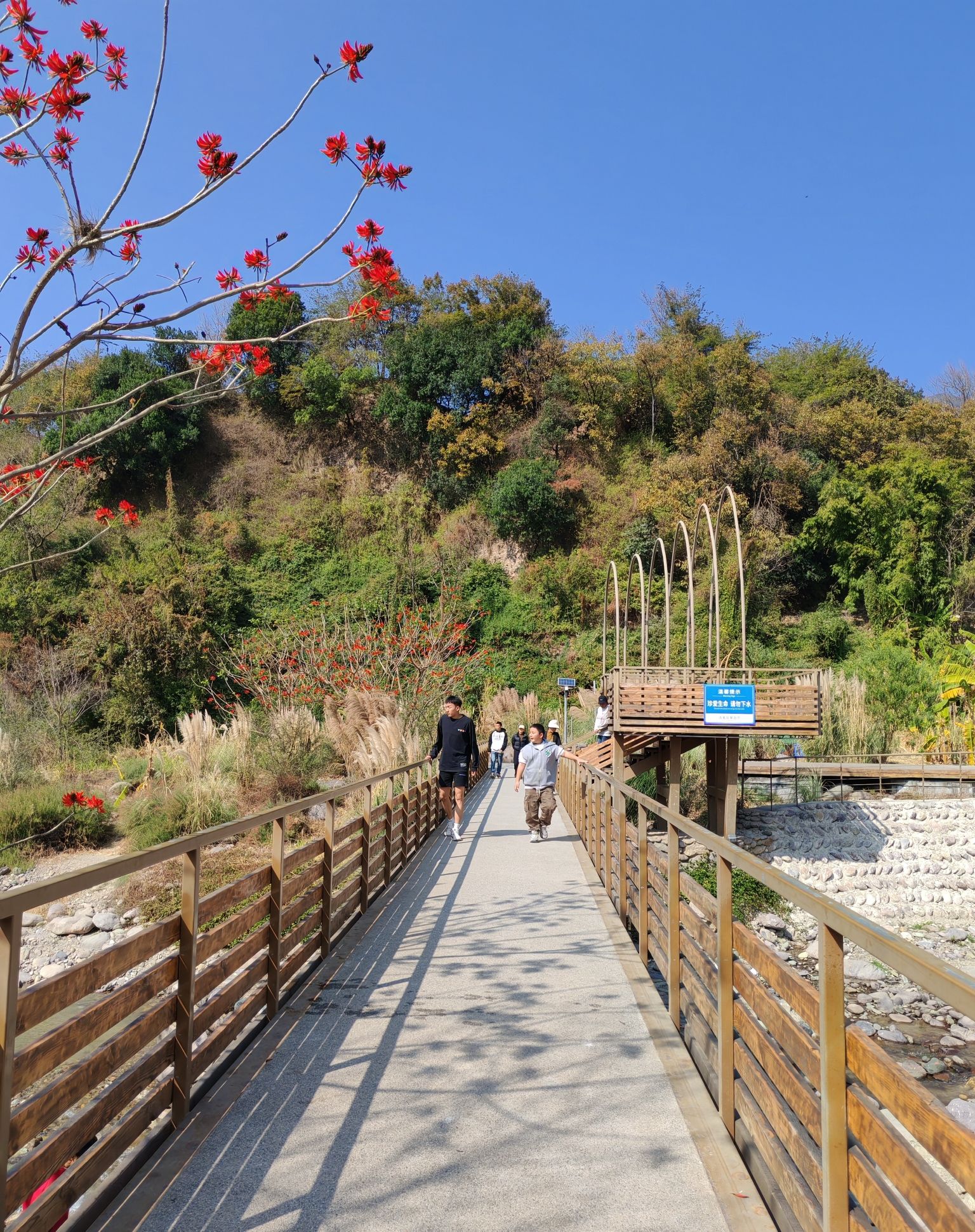 海花沟大地公园旅行图片 2