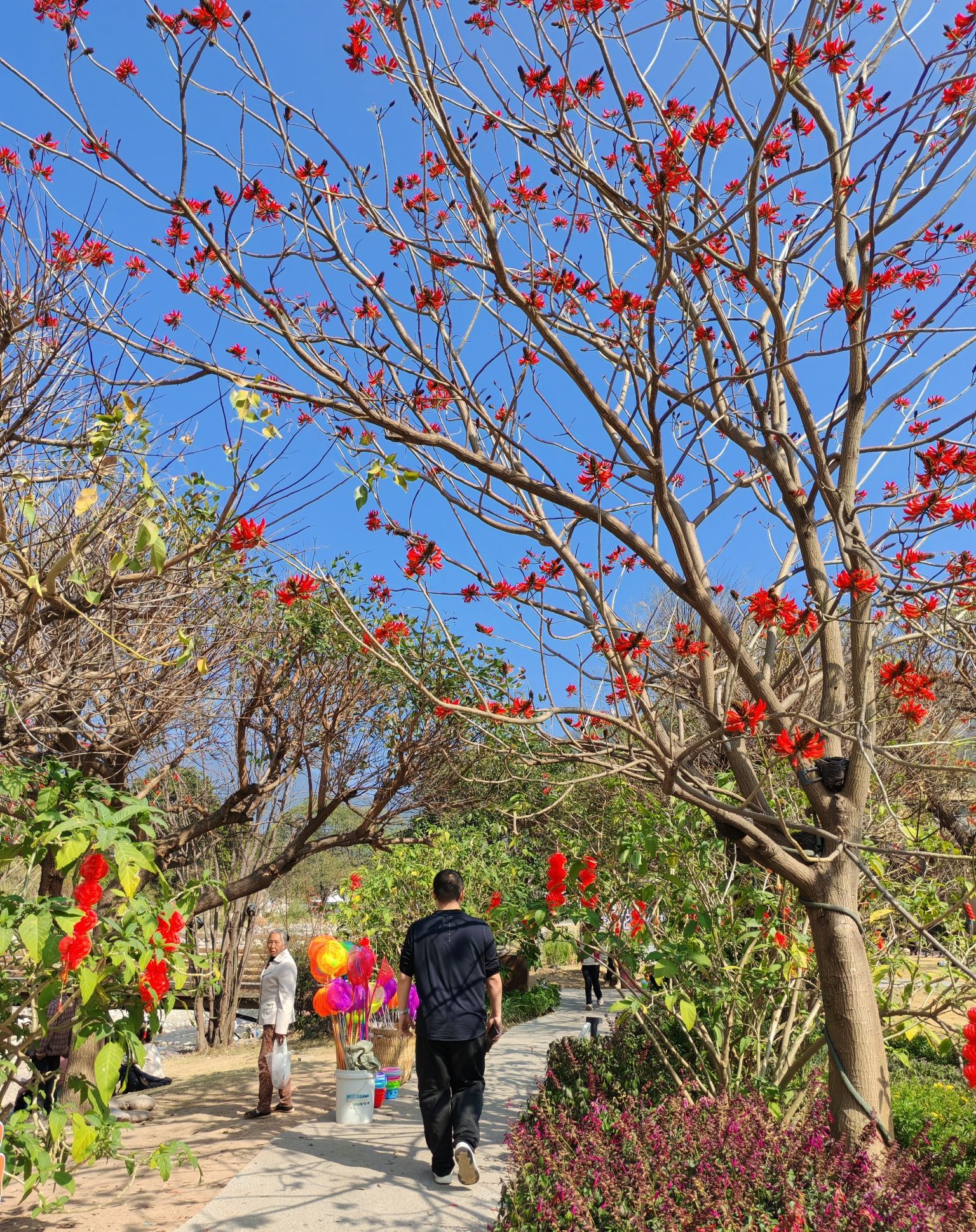 海花沟大地公园旅行图片 1