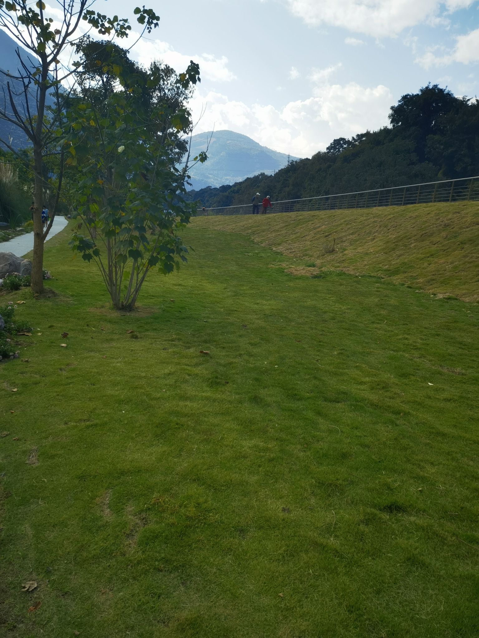 海花沟大地公园旅行图片 1