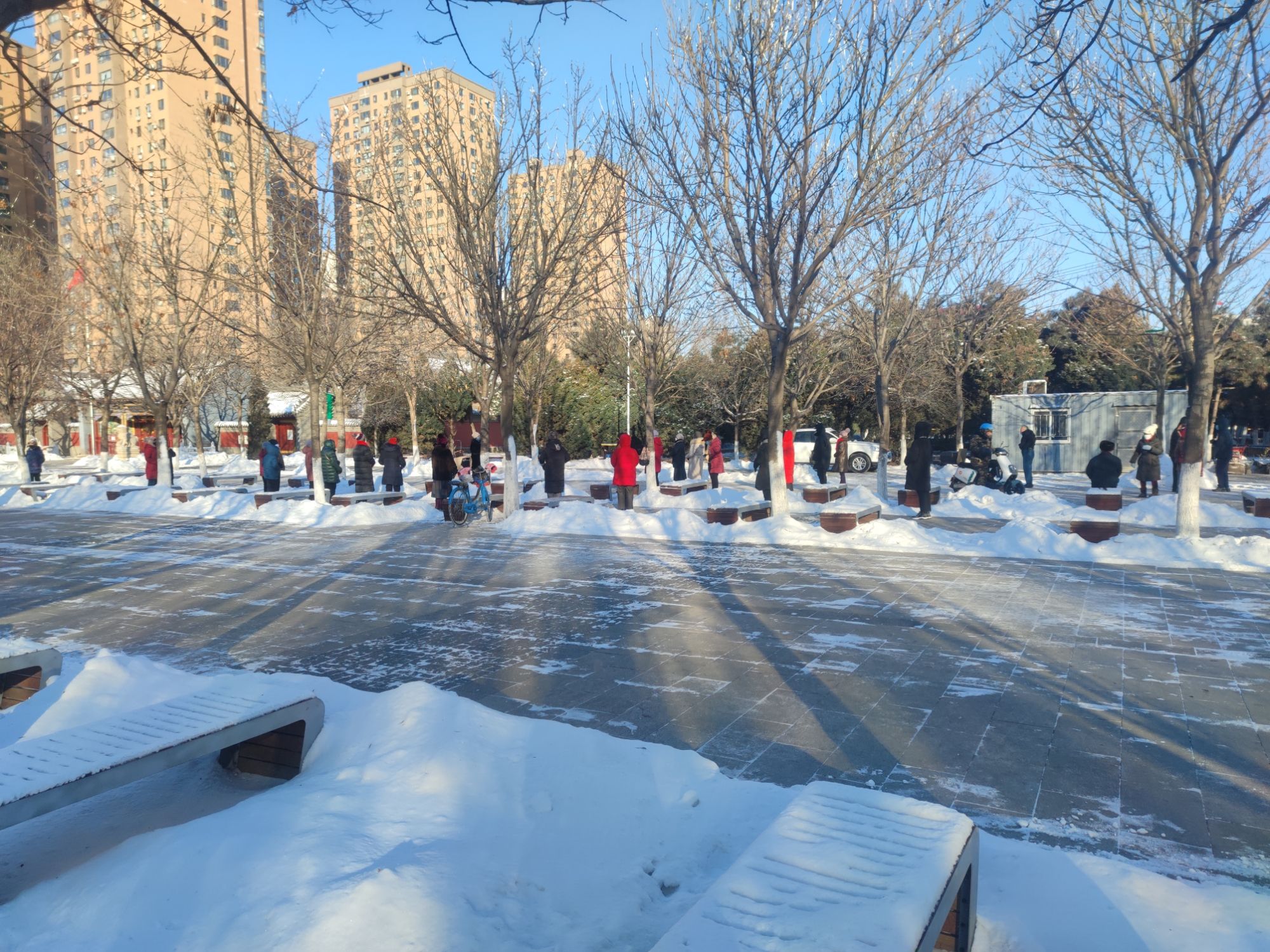 松林广场旅行图片 2
