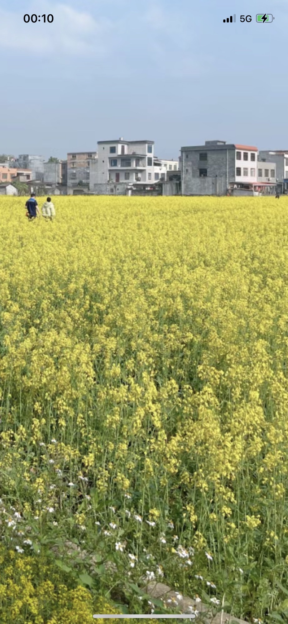 港南区山边旅游区旅行图片 2