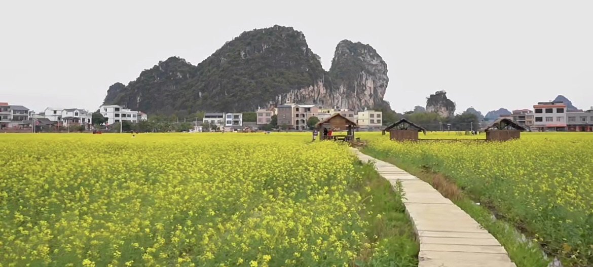 港南区山边旅游区旅行图片 3