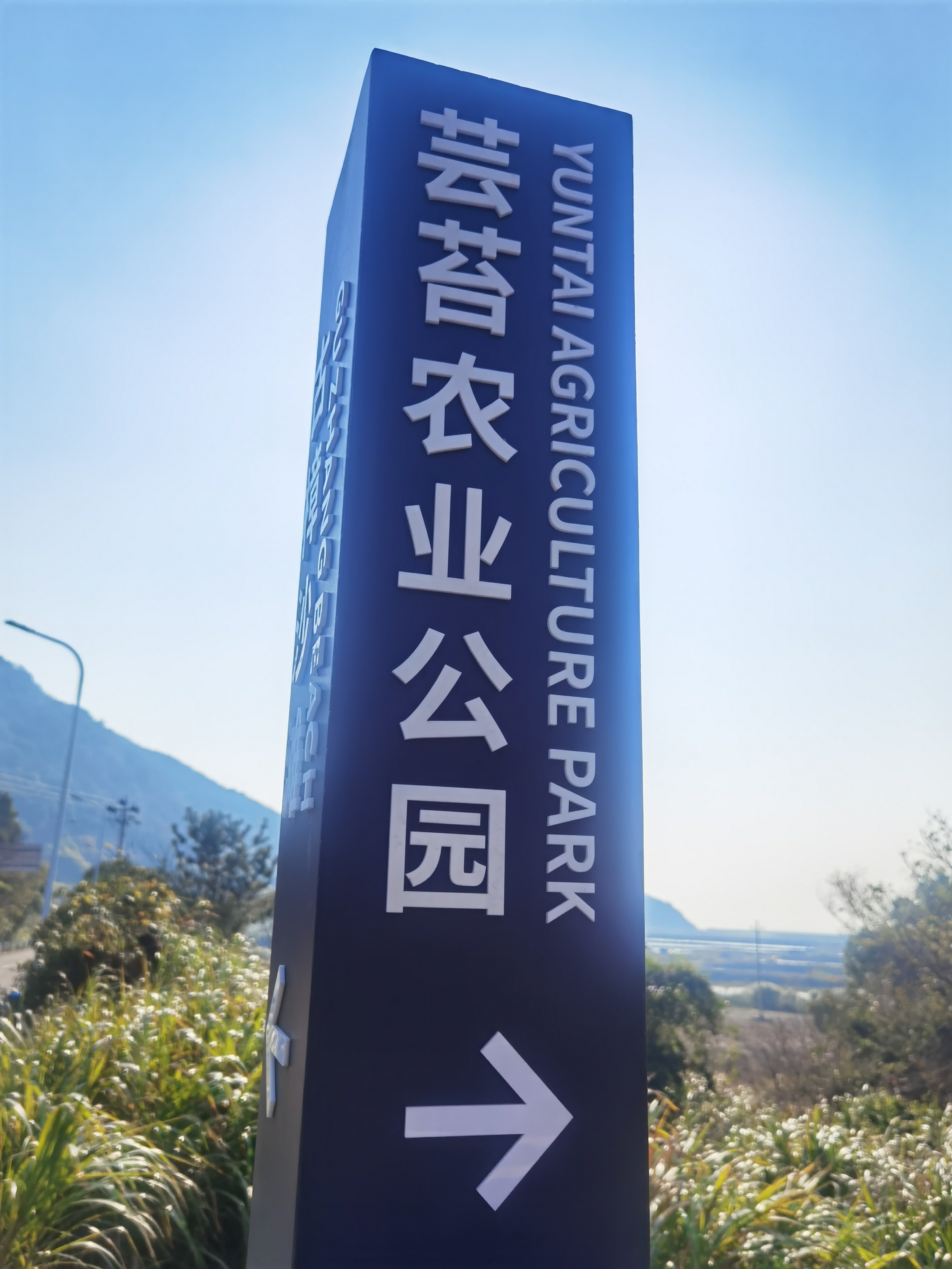 芸苔农业公园