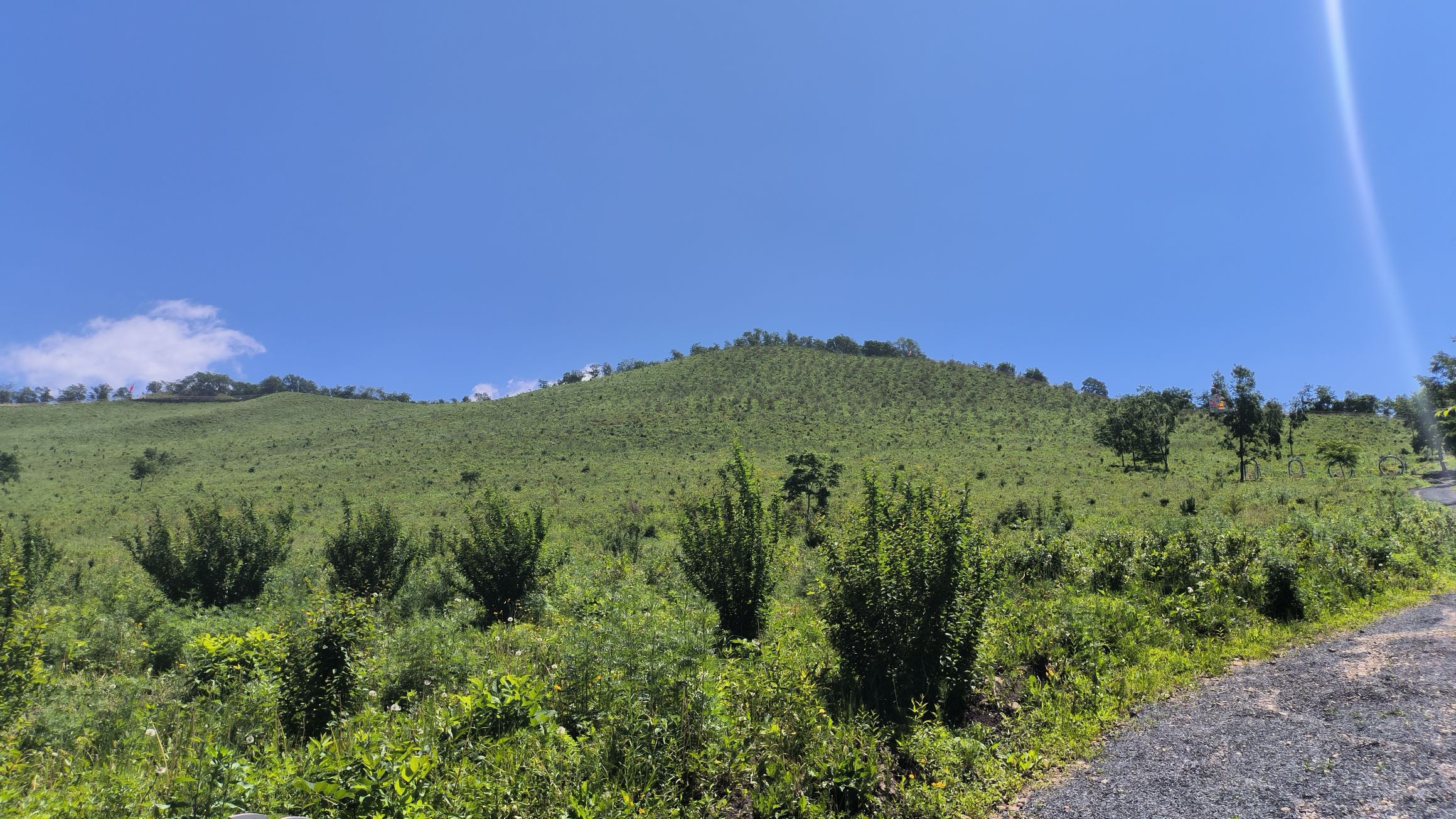 吉林杜鹃山旅行图片 3