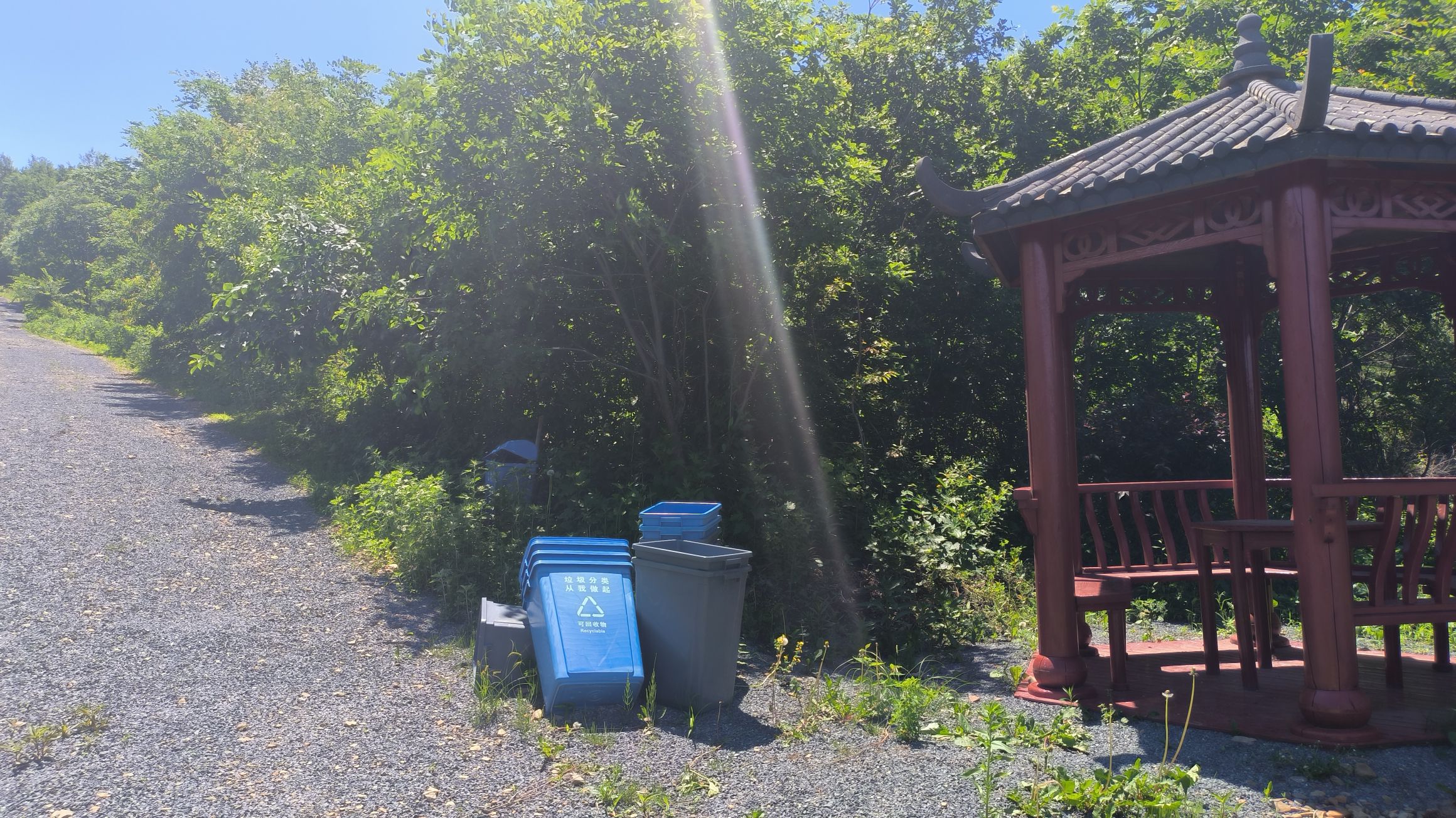 吉林杜鹃山旅行图片 2