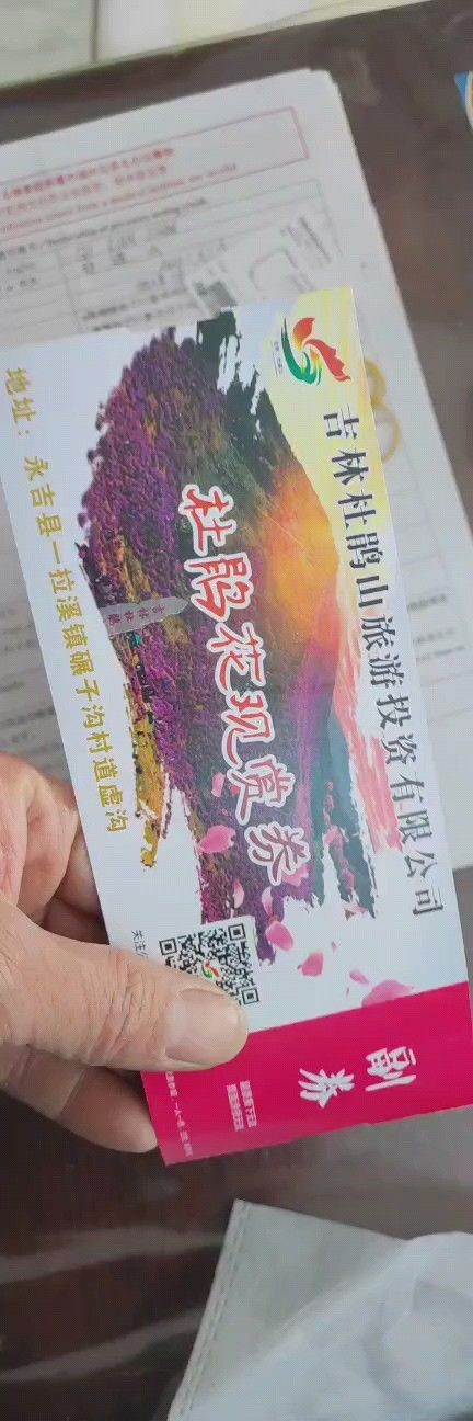 吉林杜鹃山旅行图片 1
