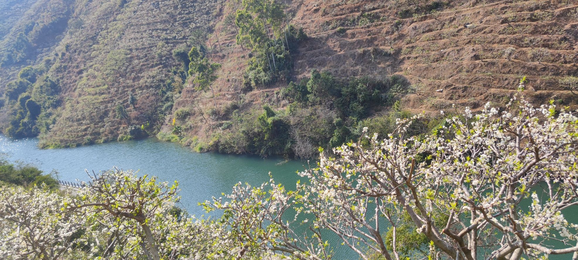 山水双合旅行图片 3