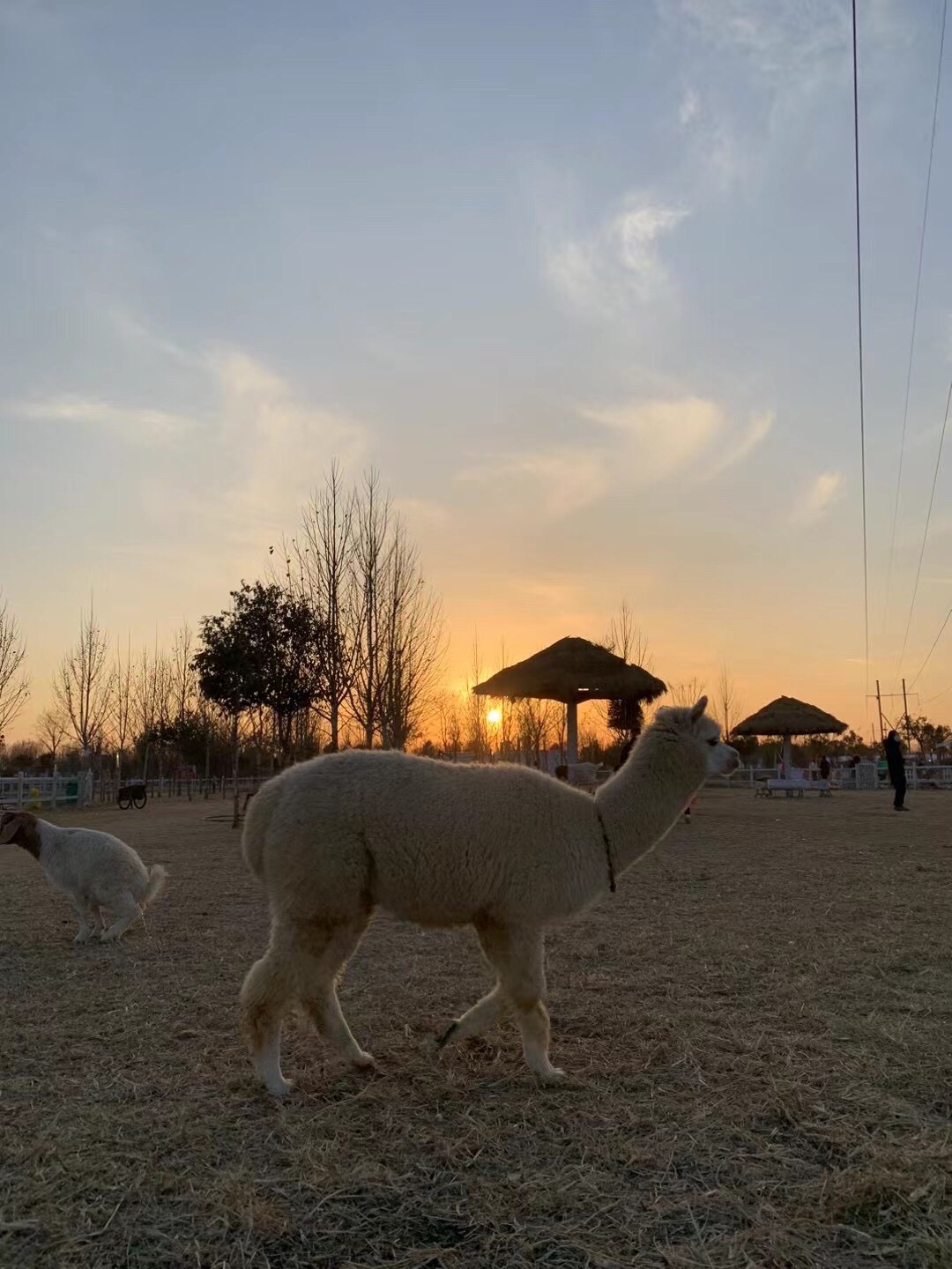 森海自然农场旅行图片 2