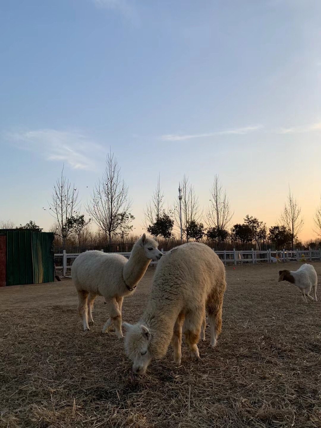 森海自然农场旅行图片 3