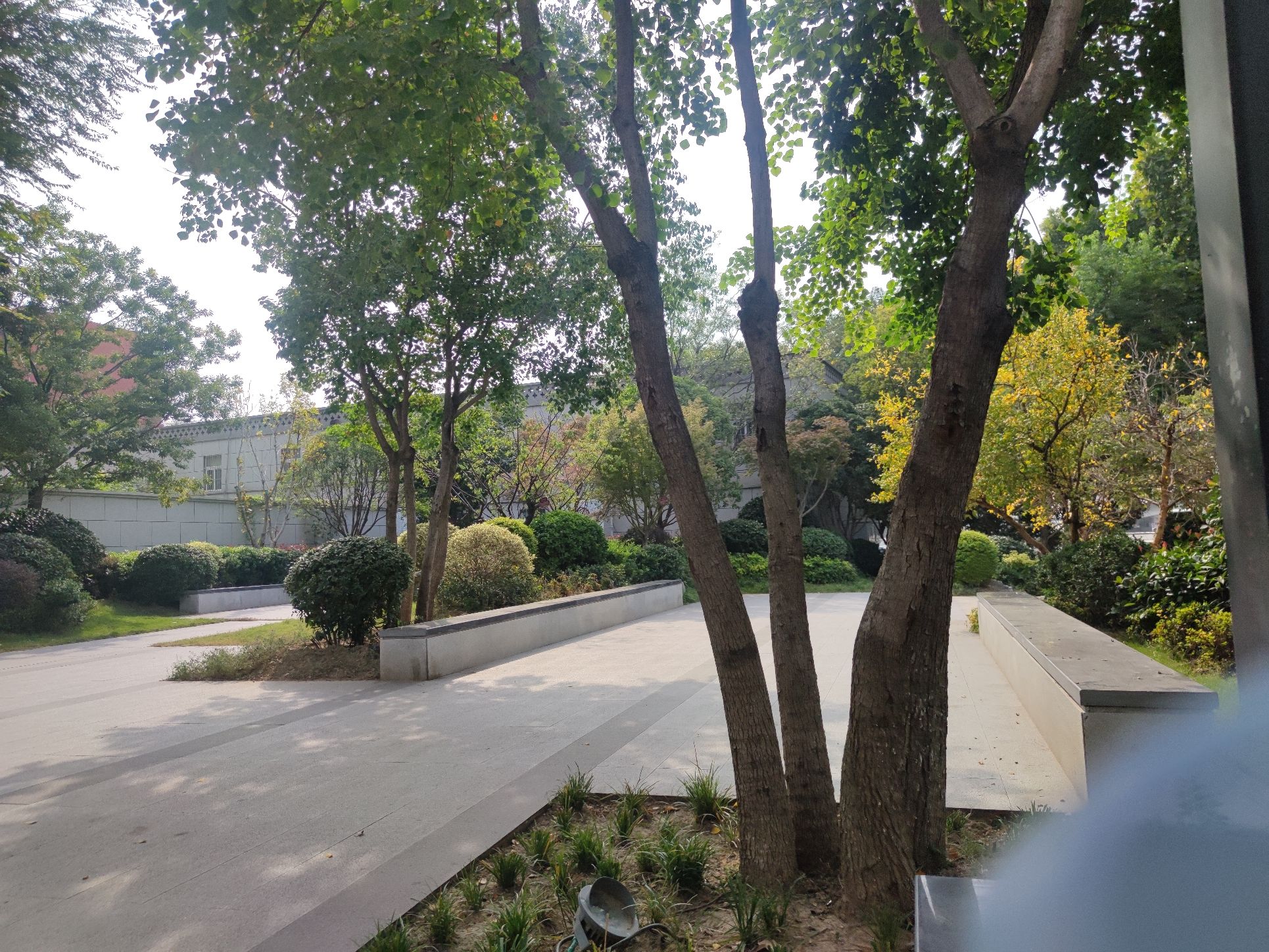 京海园旅行图片 3