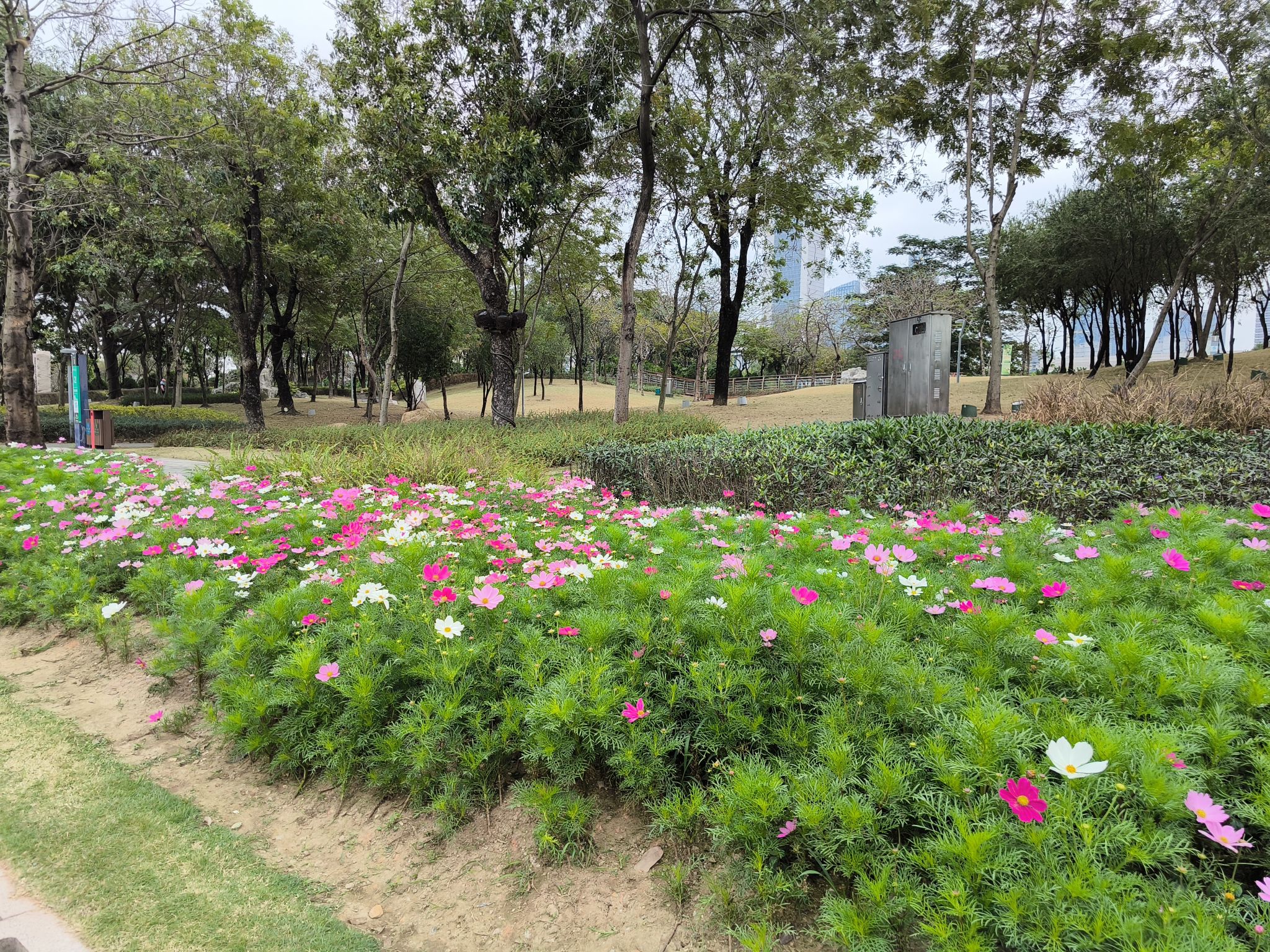 佛山新城儿童公园(装修中)