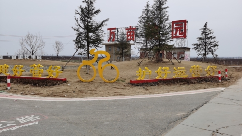 黄河第一滩百里画廊(平原新区段)旅行图片 3