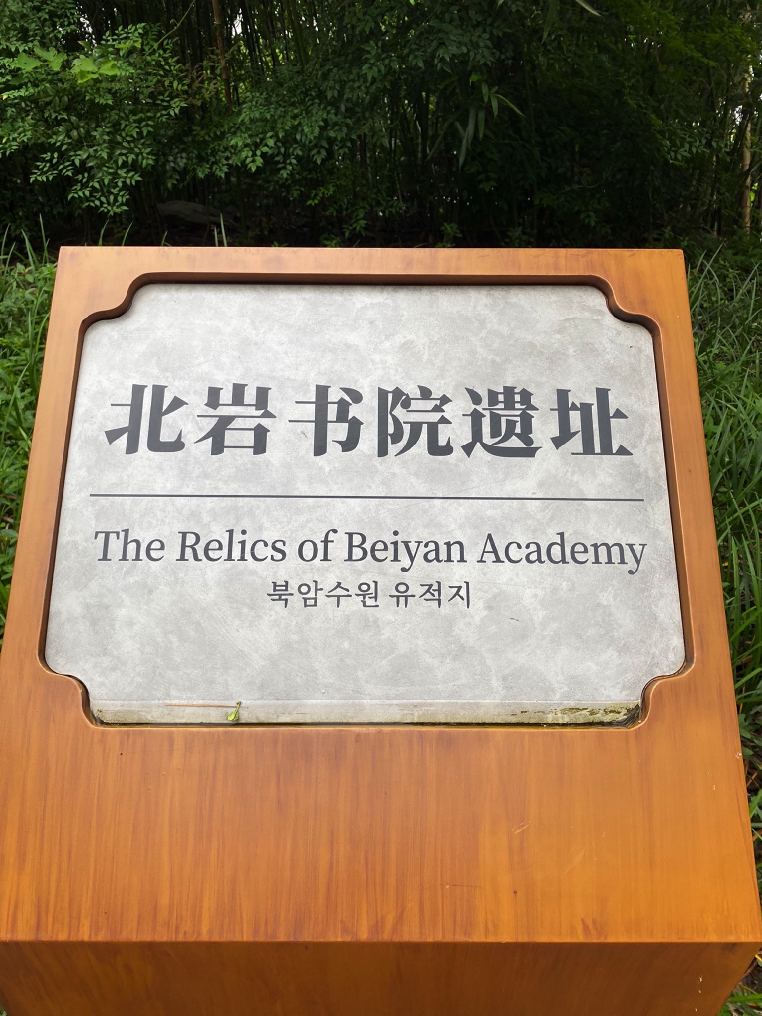 点易园旅行图片 1