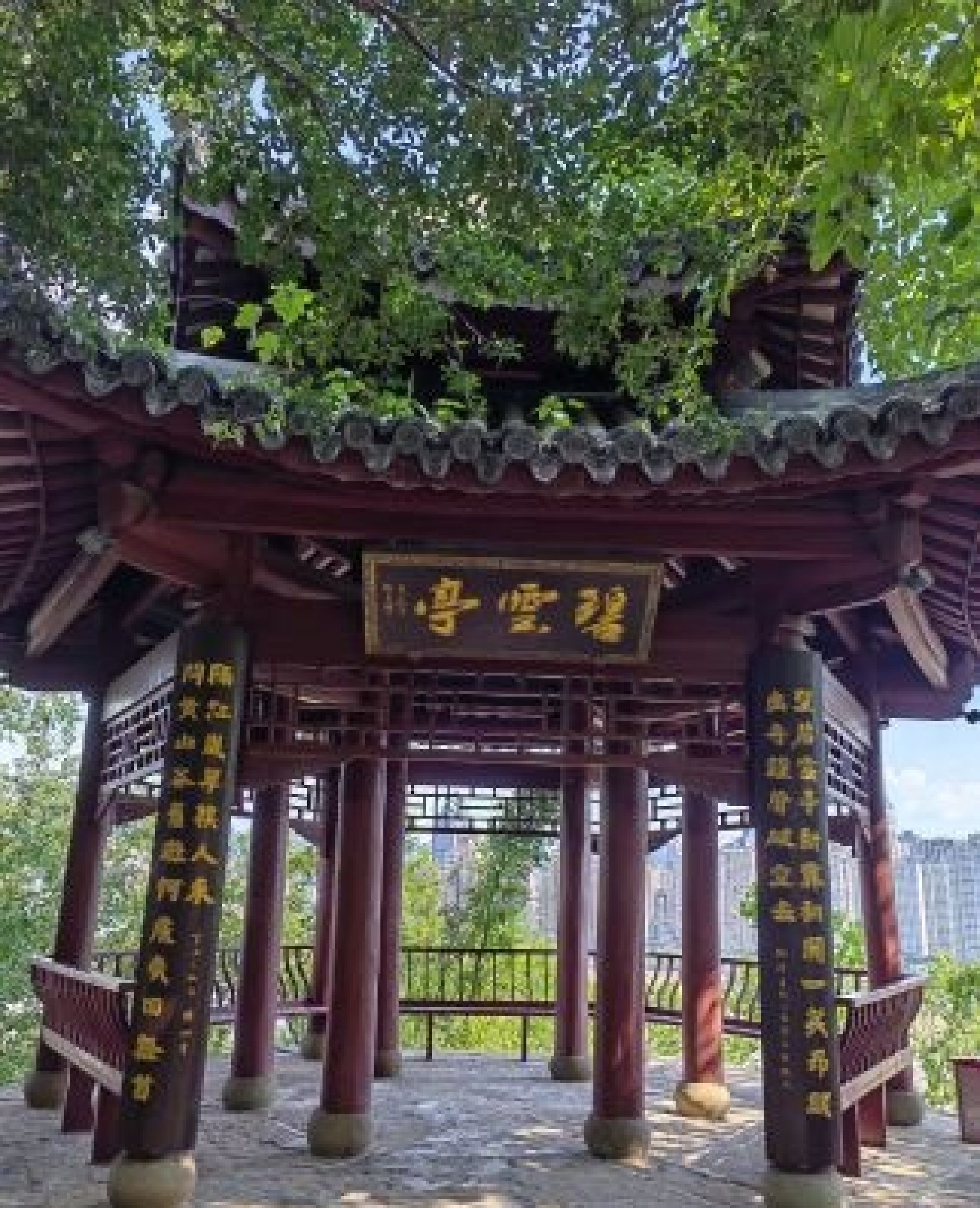点易园旅行图片 3