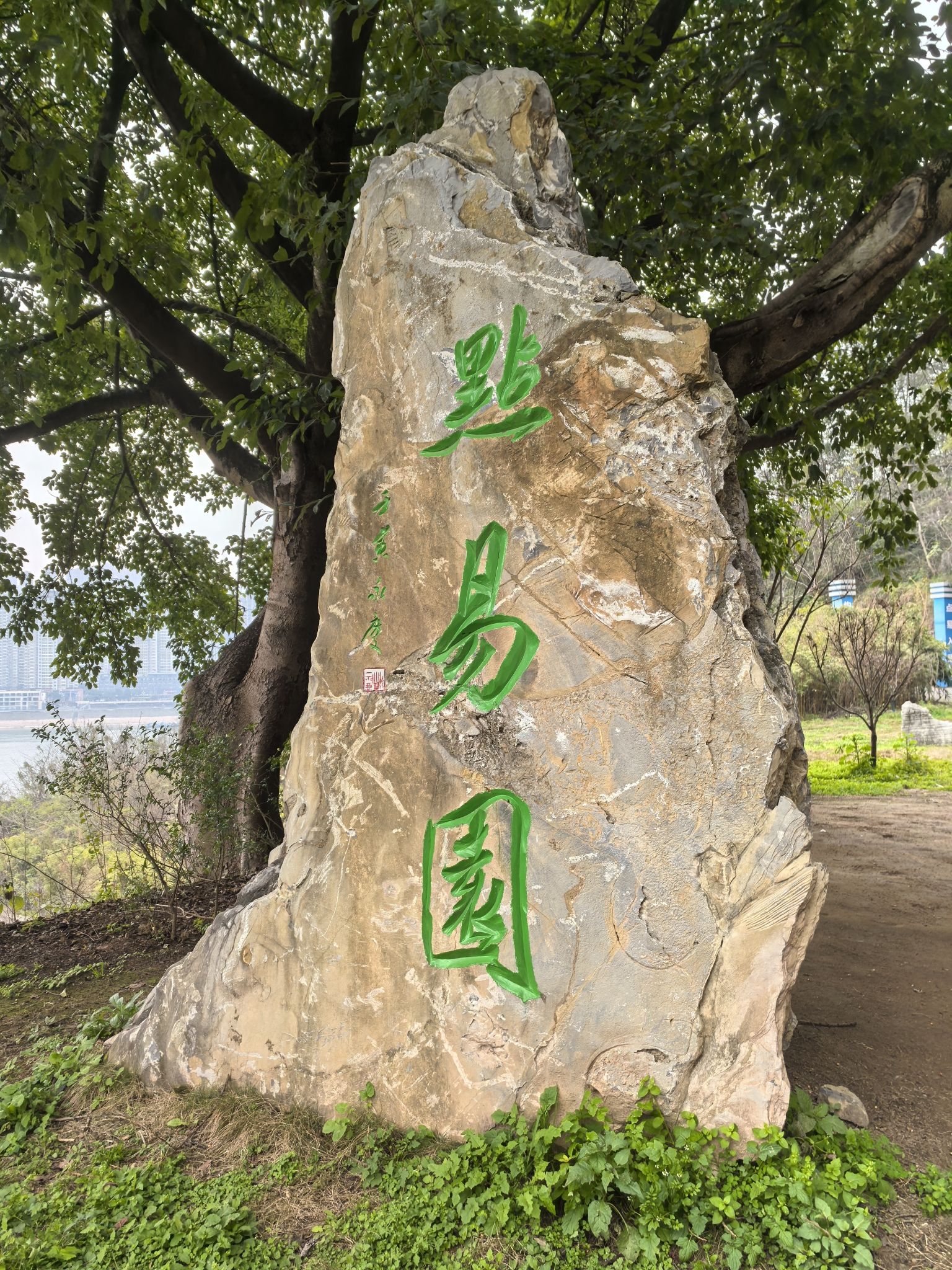 点易园旅行图片 1