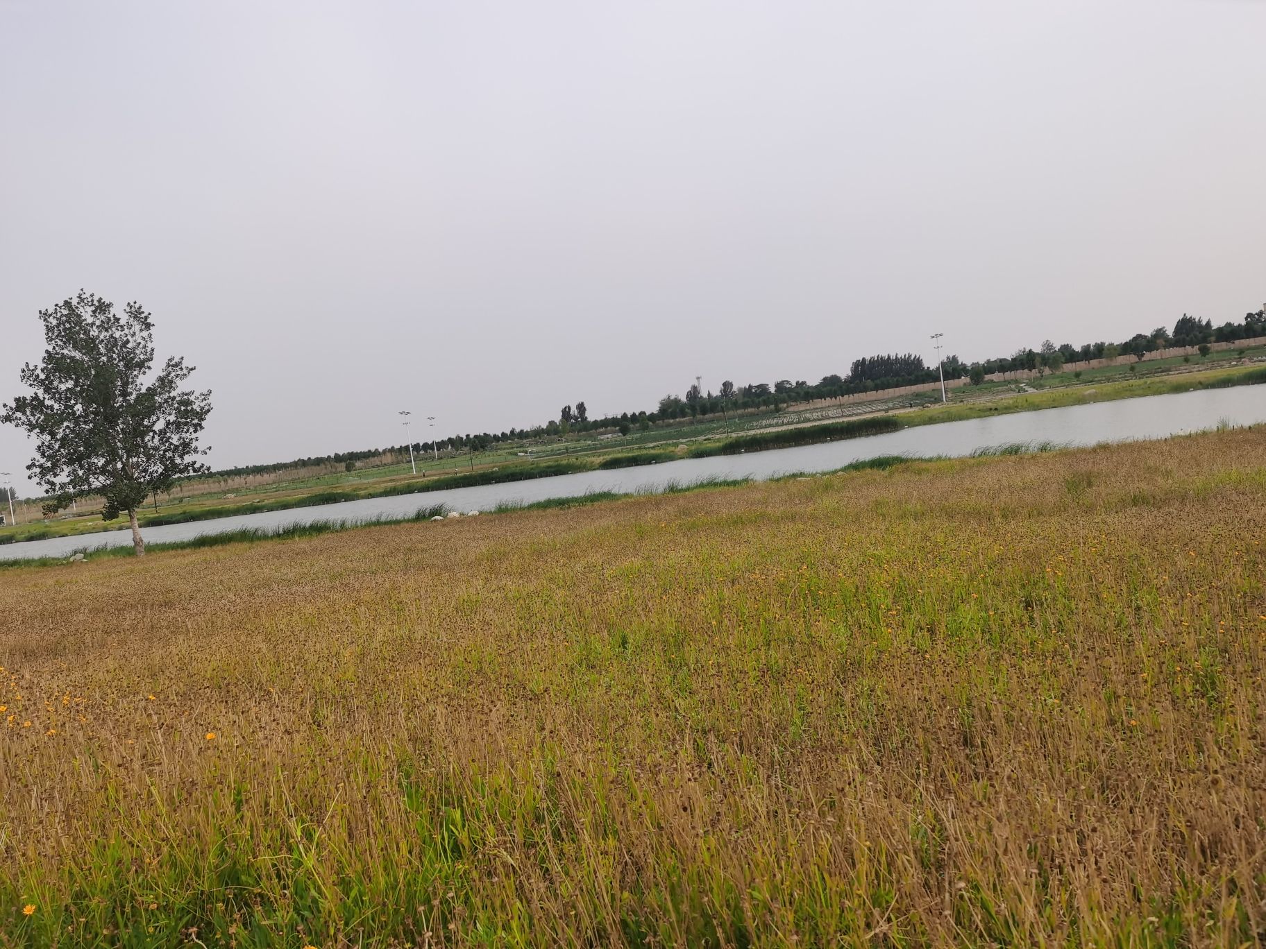 新乐磁河木刀沟生态湿地公园旅行图片 2