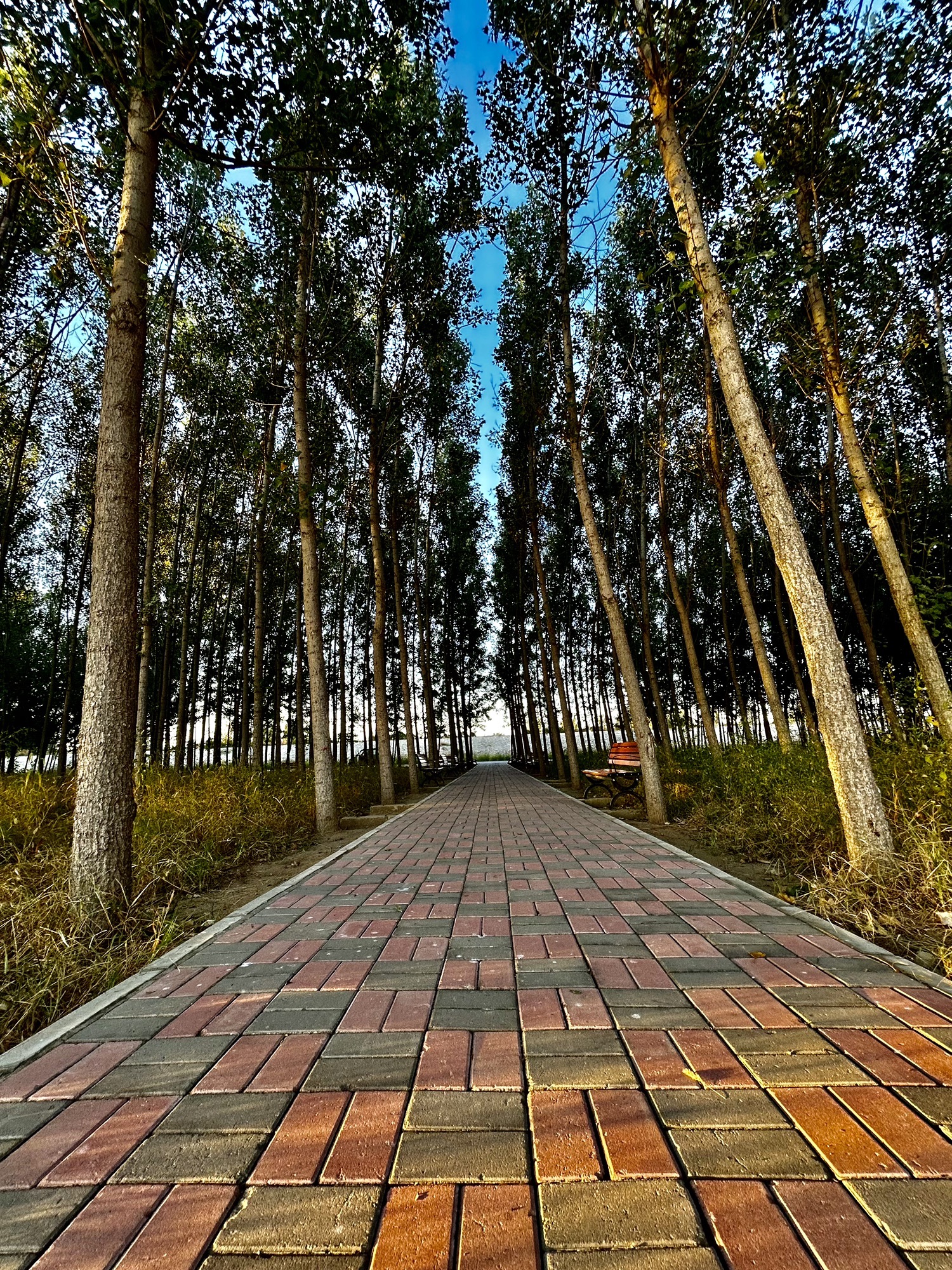 新乐磁河木刀沟生态湿地公园旅行图片 1