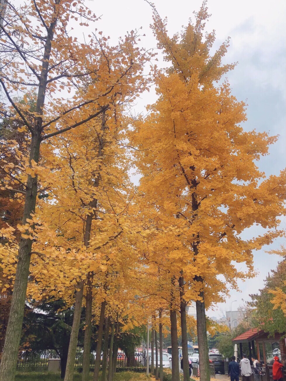 北大营街角公园旅行图片 1