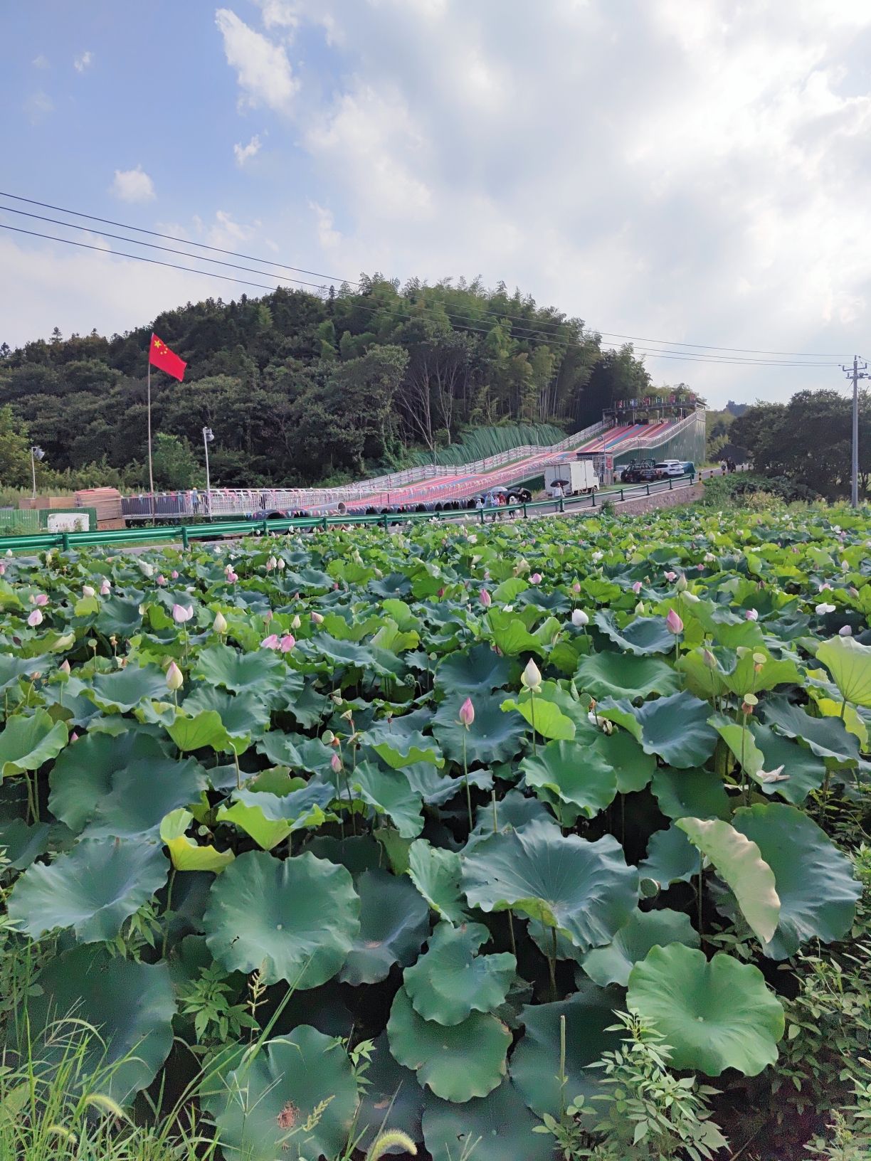文翁研学旅游小镇旅行图片 2