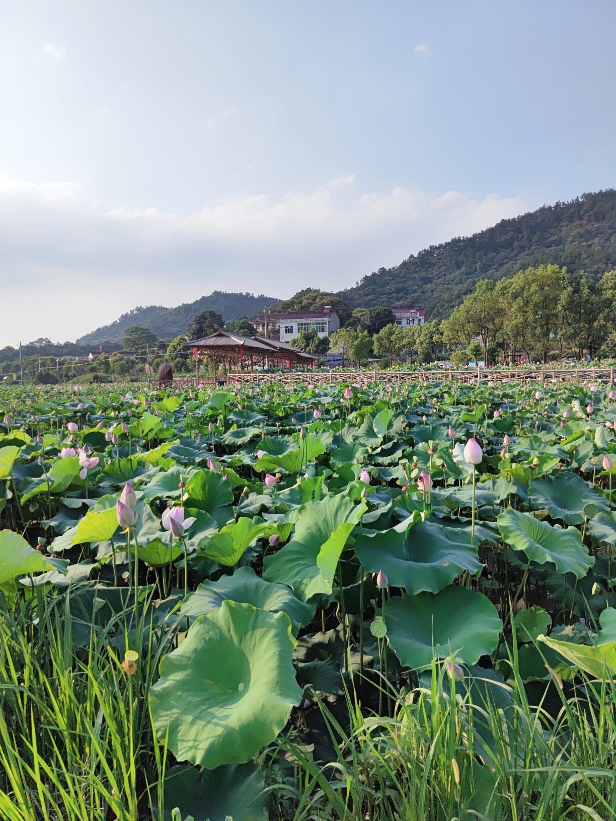 文翁研学旅游小镇旅行图片 3