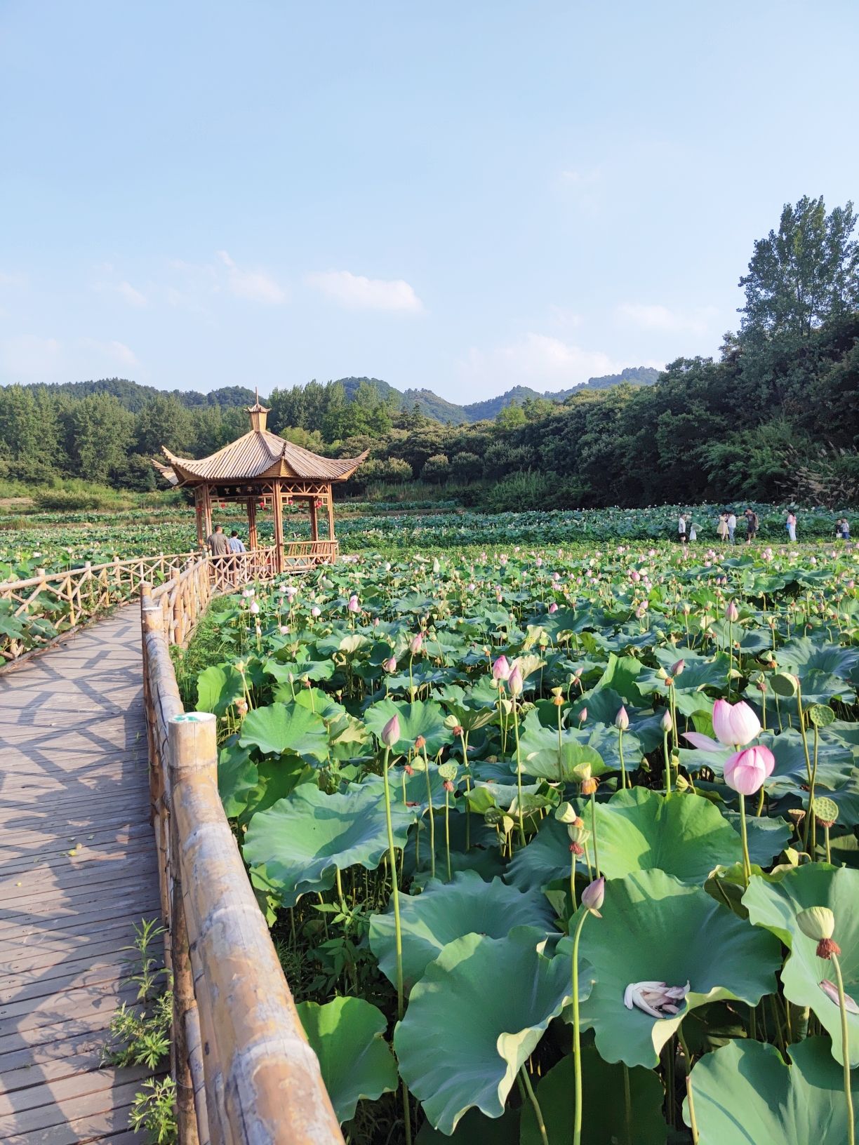 文翁研学旅游小镇