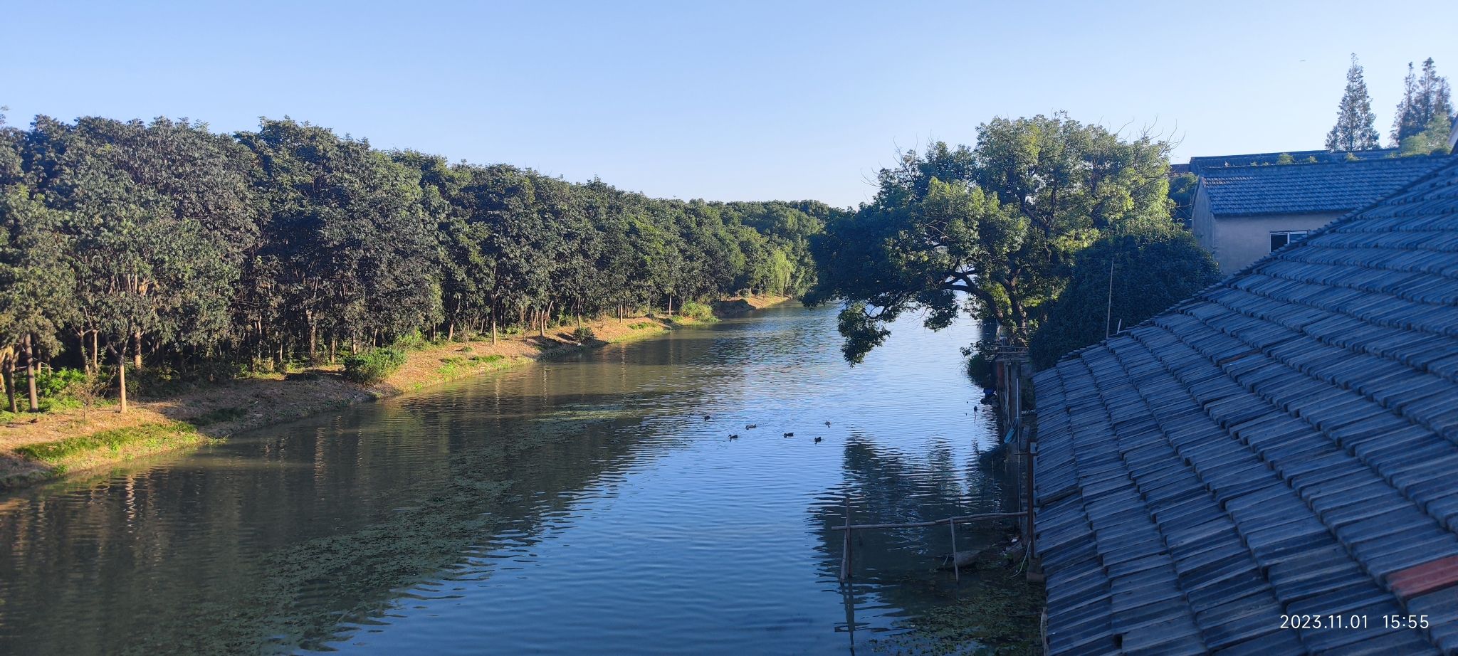 刘夏古文化遗址旅行图片 1