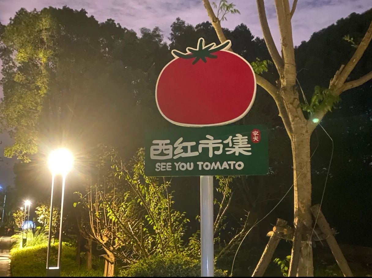 刘夏古文化遗址旅行图片 1
