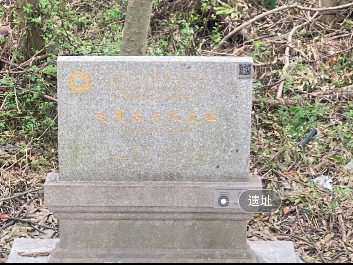 刘夏古文化遗址旅行图片 3
