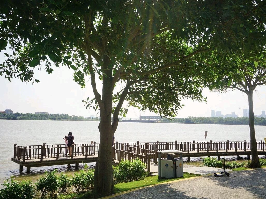 滨湖湿地公园碧道