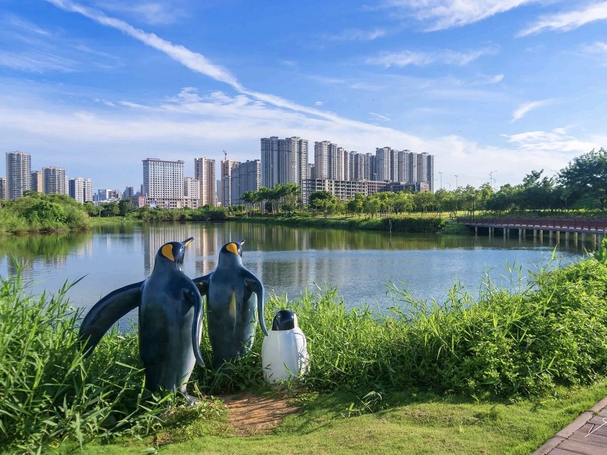 滨湖湿地公园碧道