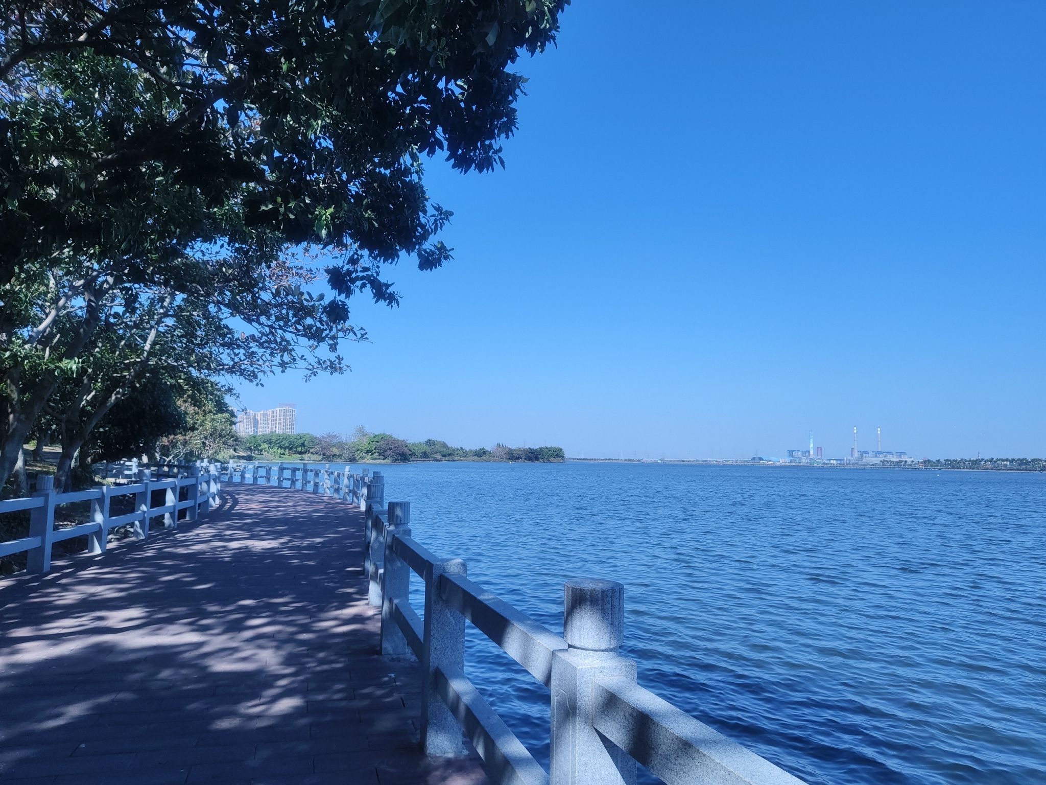 滨湖湿地公园碧道