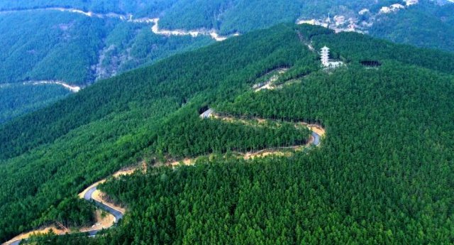 黑石坡森林公园旅行图片 3