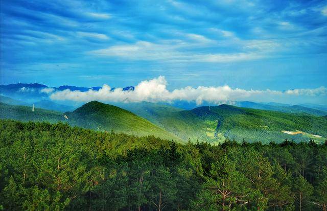 黑石坡森林公园旅行图片 2