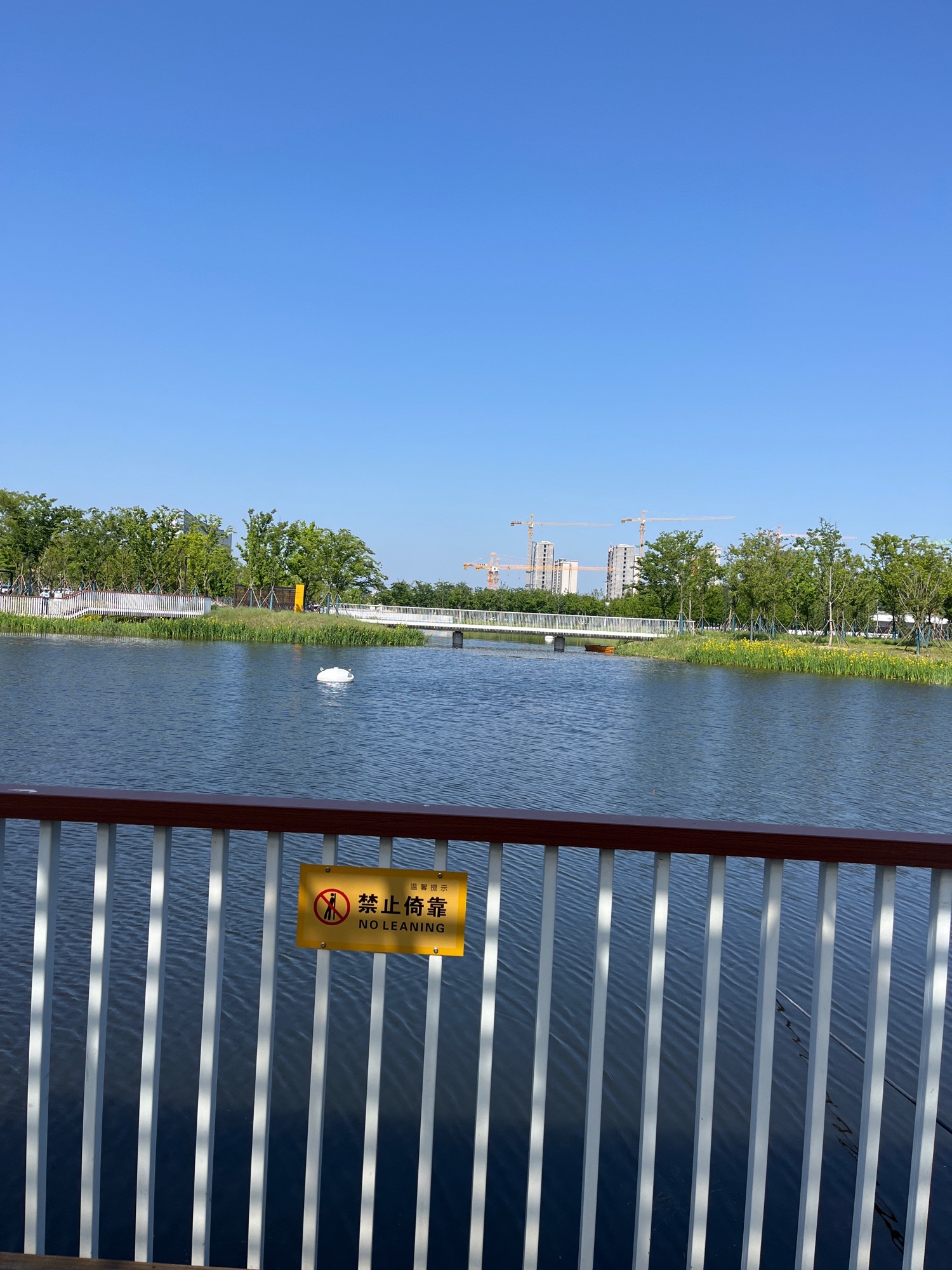 鹤鸣公园旅行图片 3