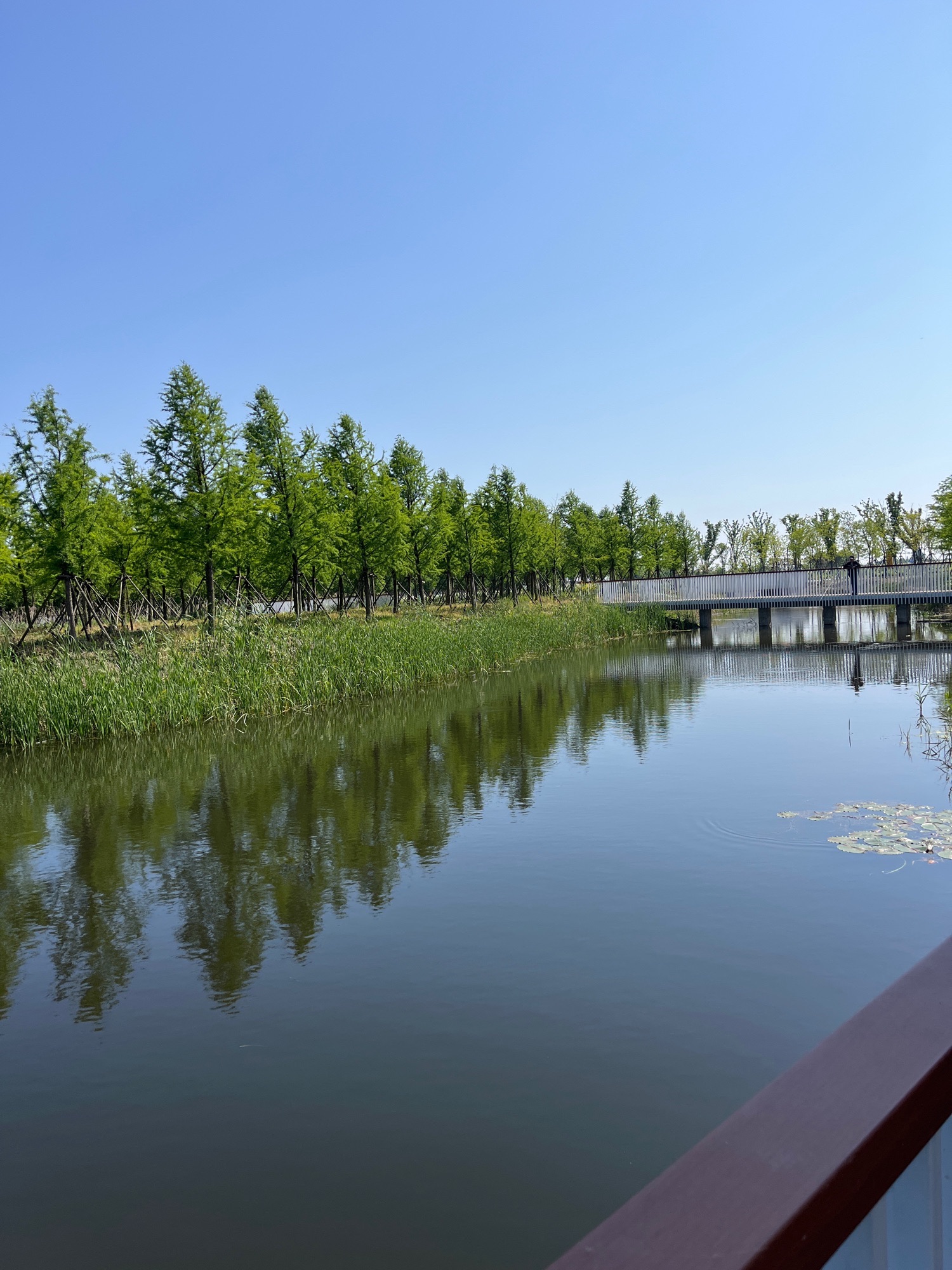 鹤鸣公园旅行图片 1
