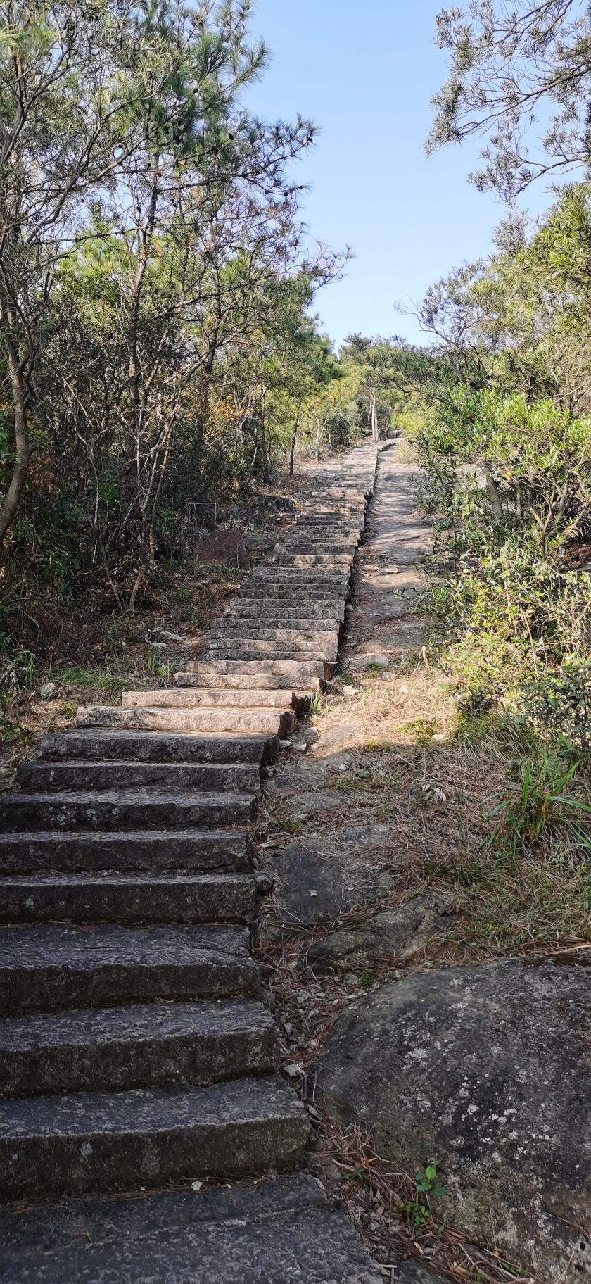 和美桥旅行图片 2
