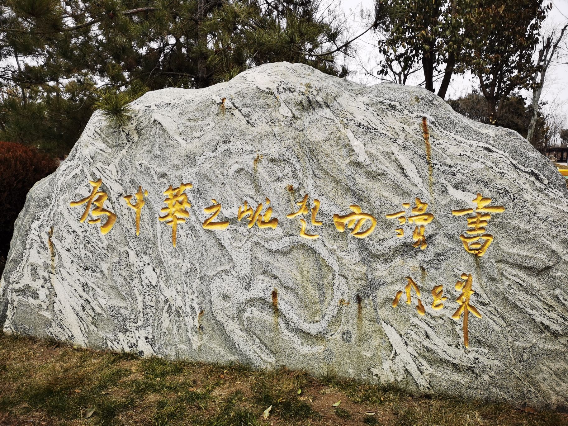 辛中公园旅行图片 2