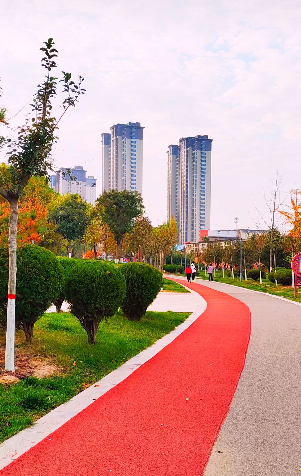 辛中公园旅行图片 2