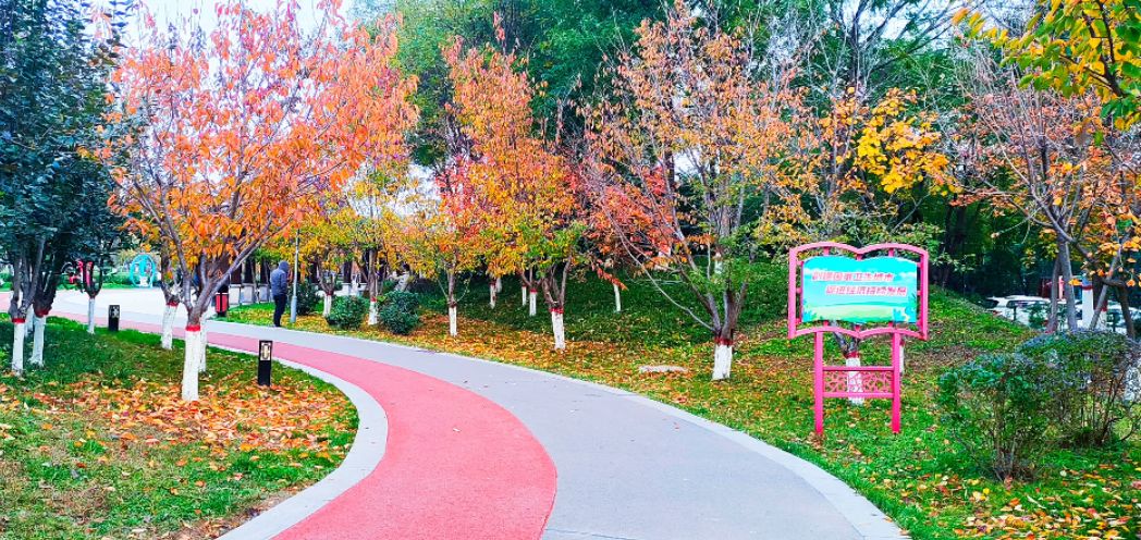辛中公园旅行图片 3