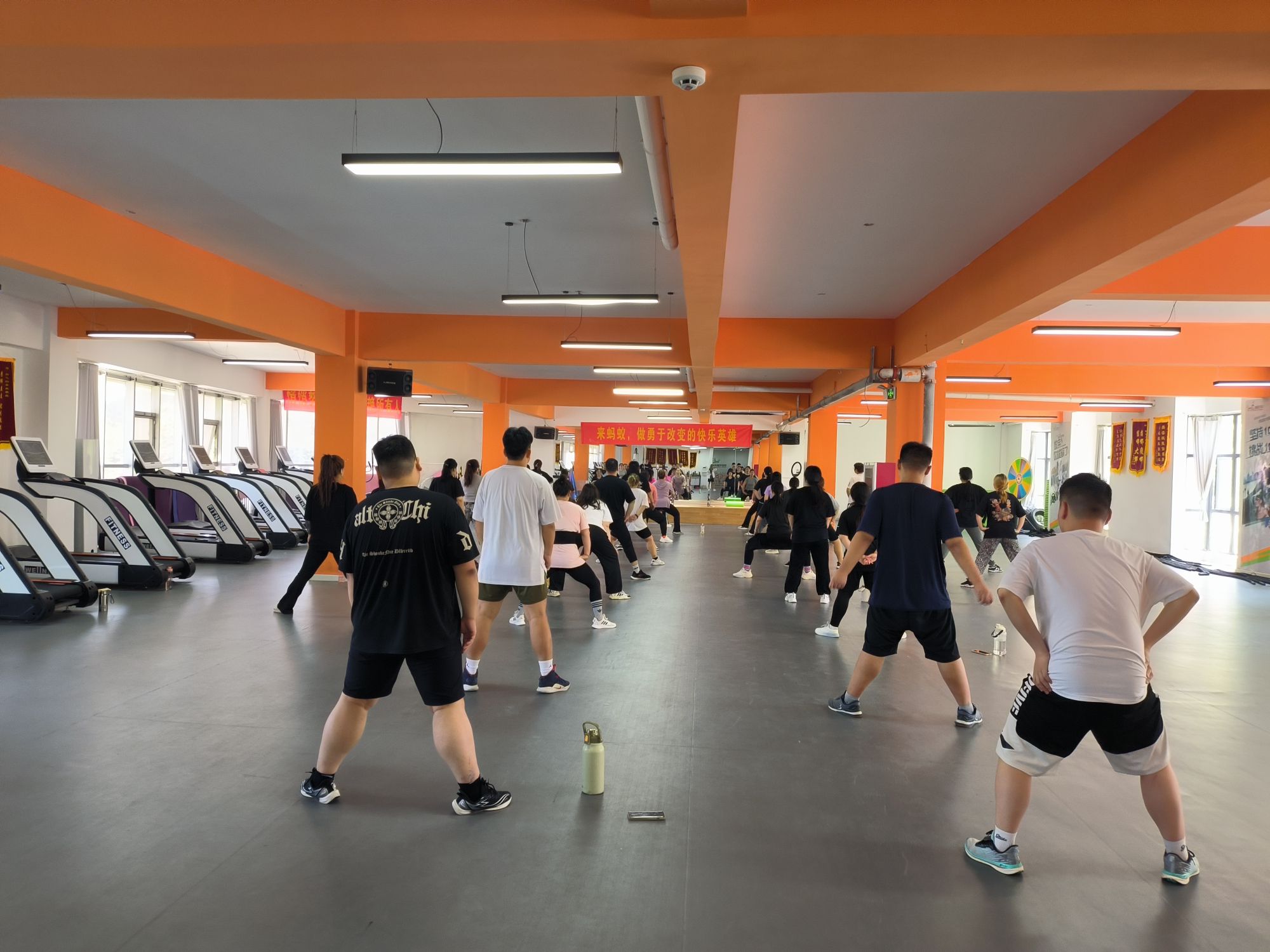 蚂蚁减肥训练营