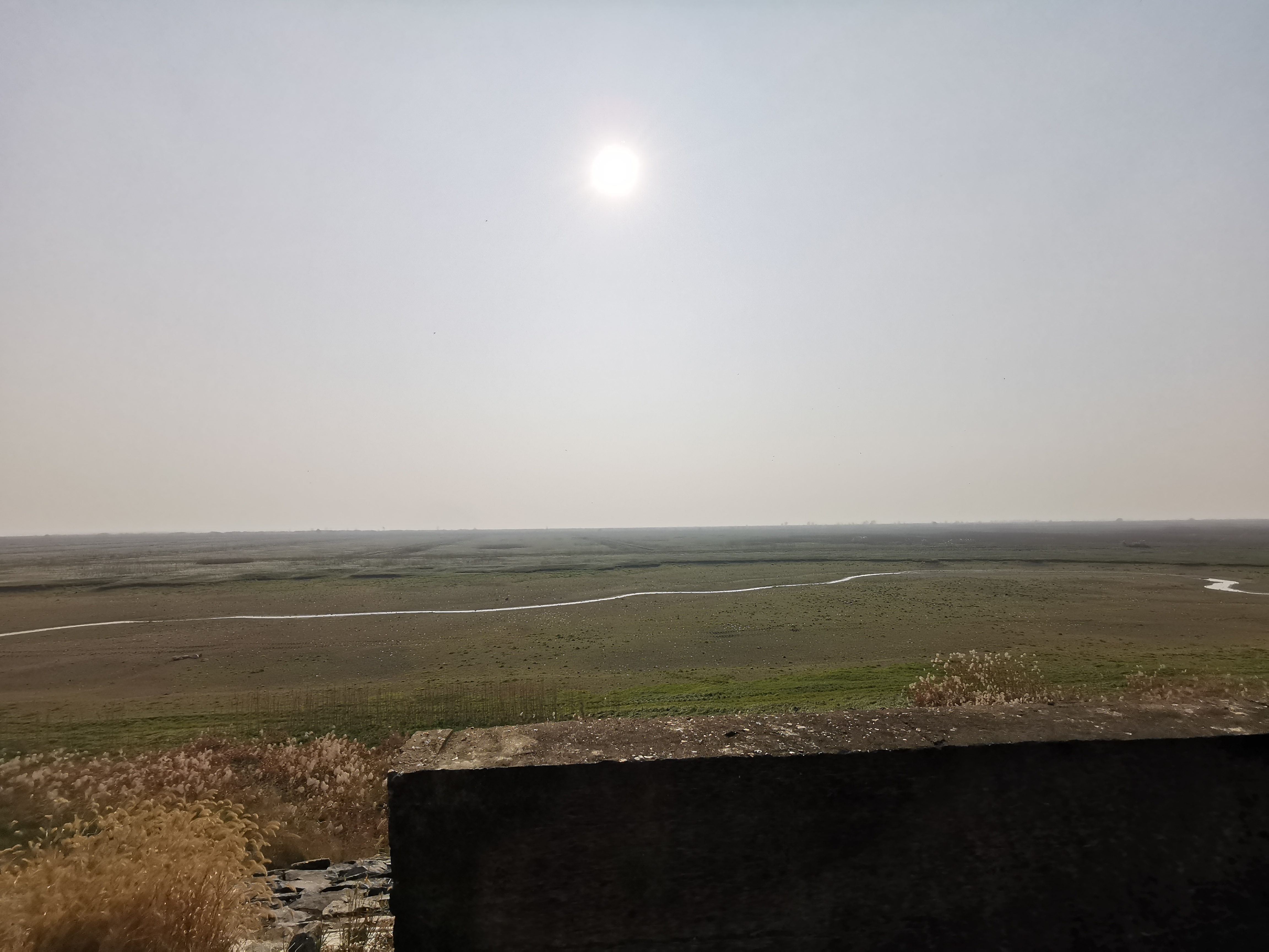 青山岛旅行图片 1