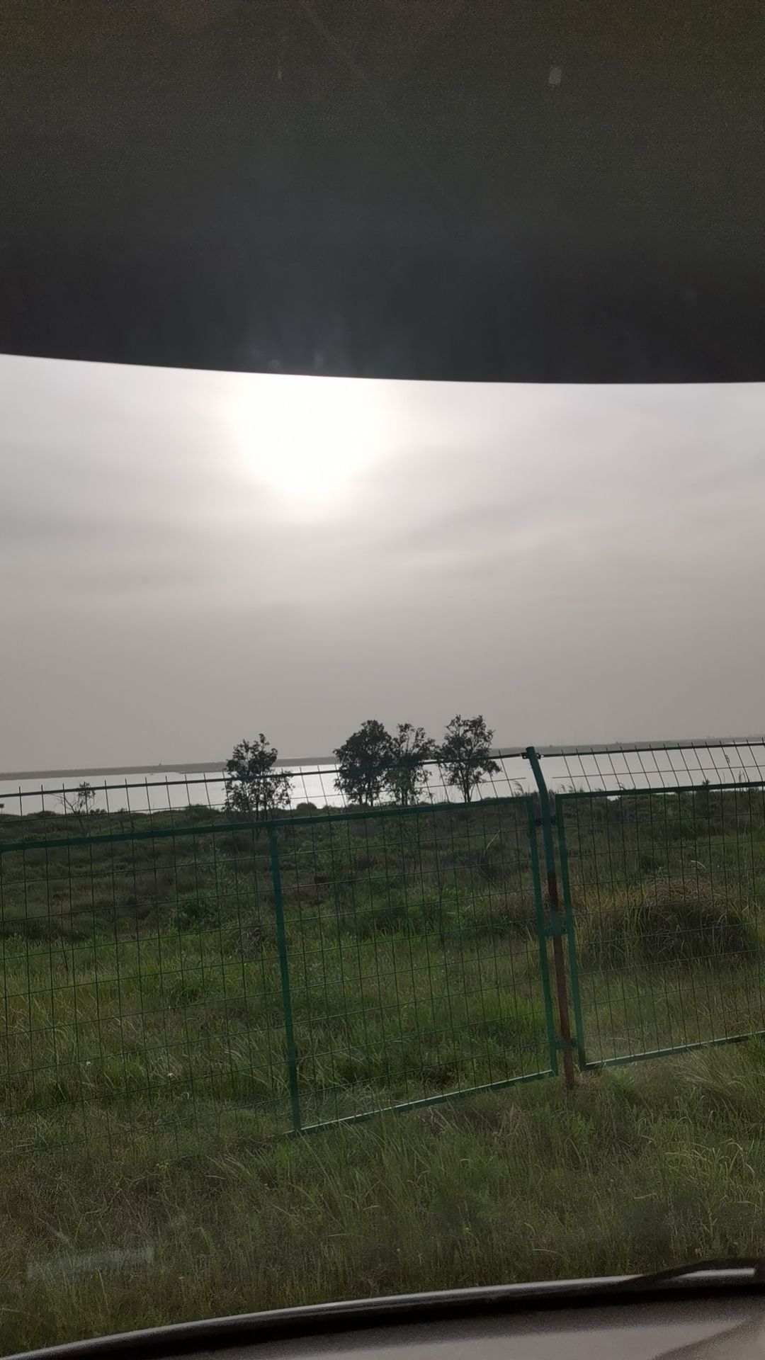 青山岛旅行图片 2