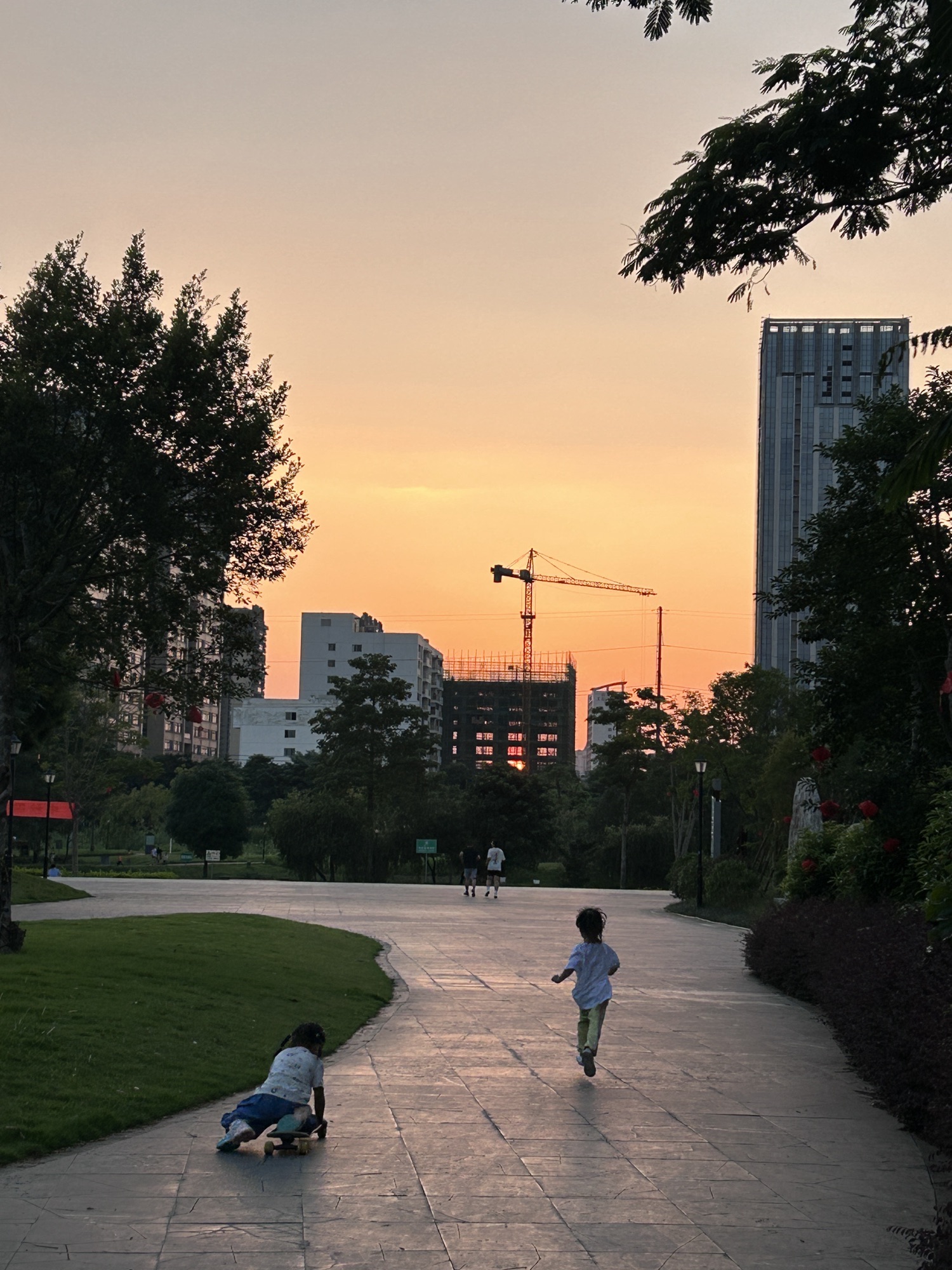 北投体育公园旅行图片 2
