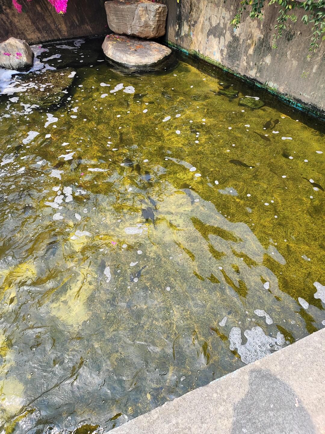 北投体育公园旅行图片 1