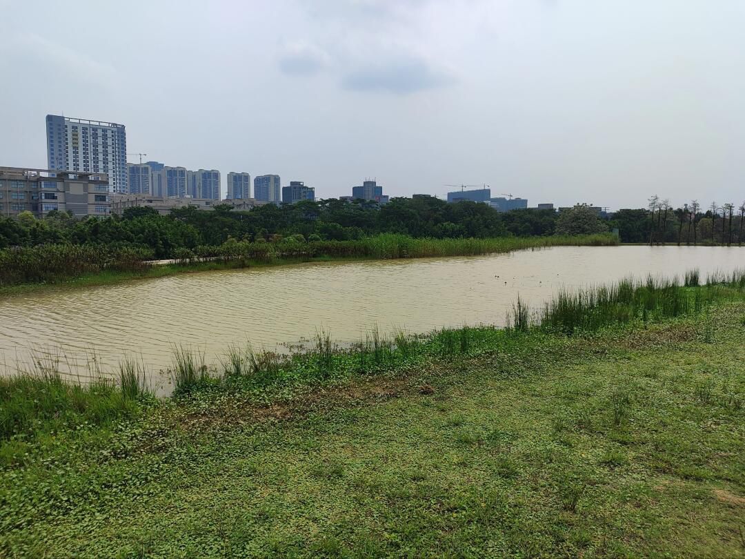 北投体育公园旅行图片 2