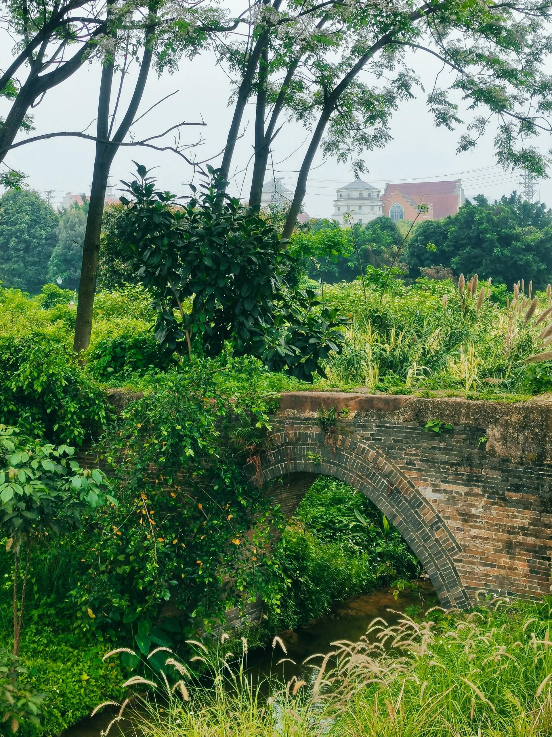 北投体育公园旅行图片 3