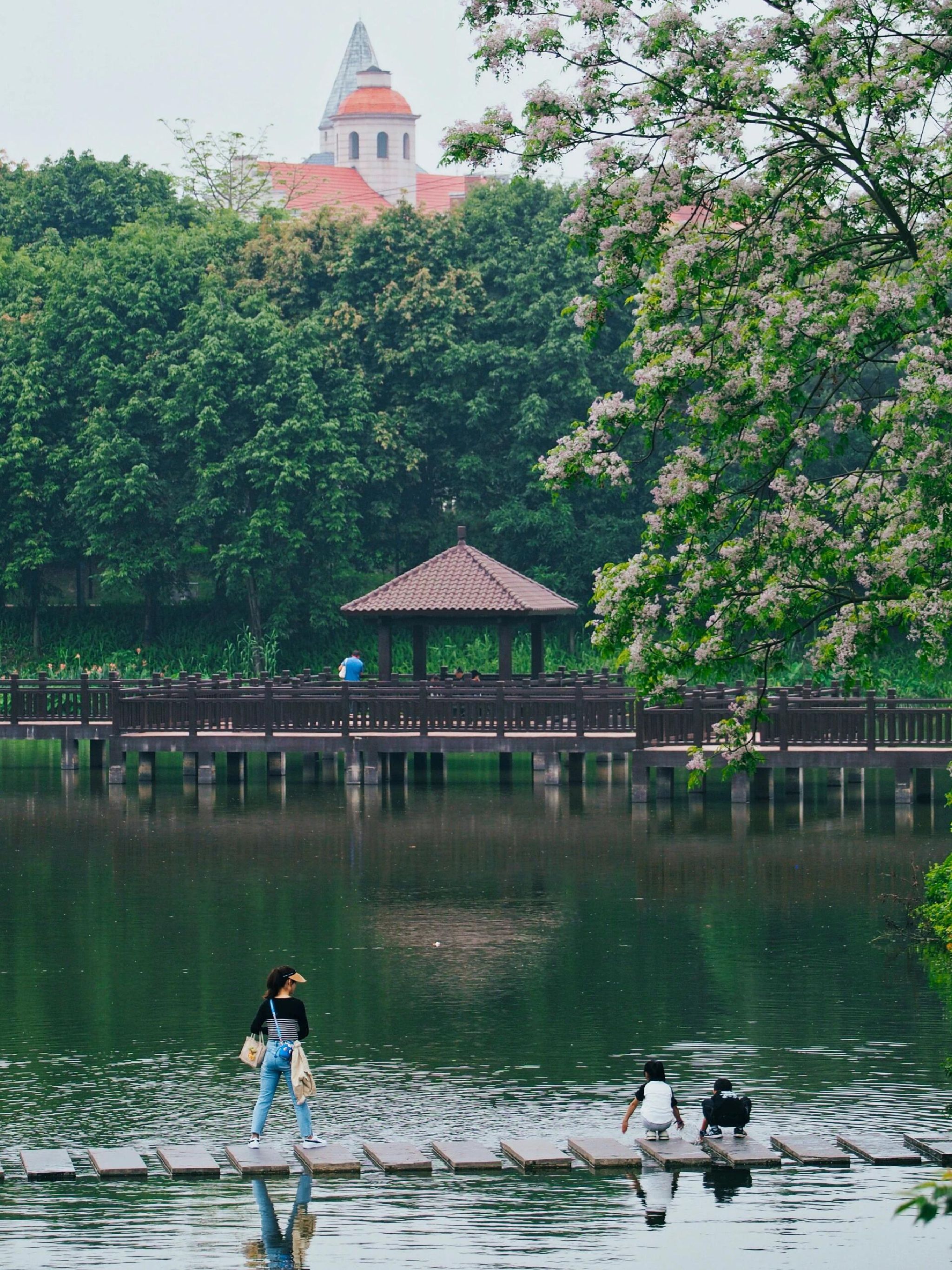 北投体育公园旅行图片 1