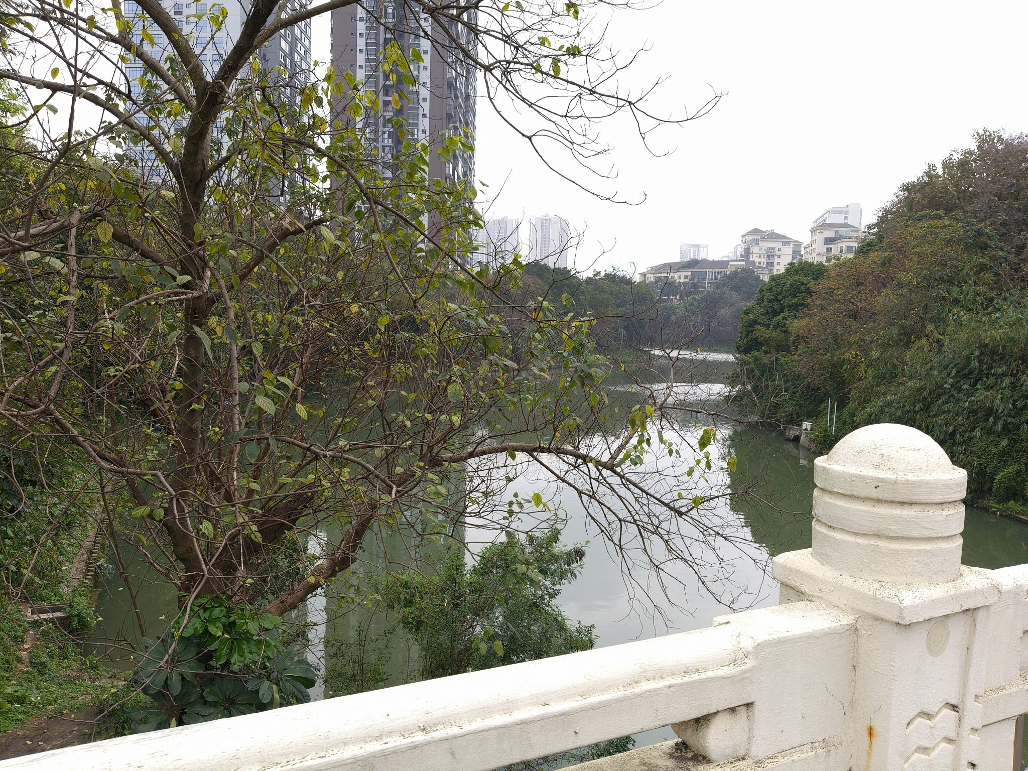 北投体育公园旅行图片 3
