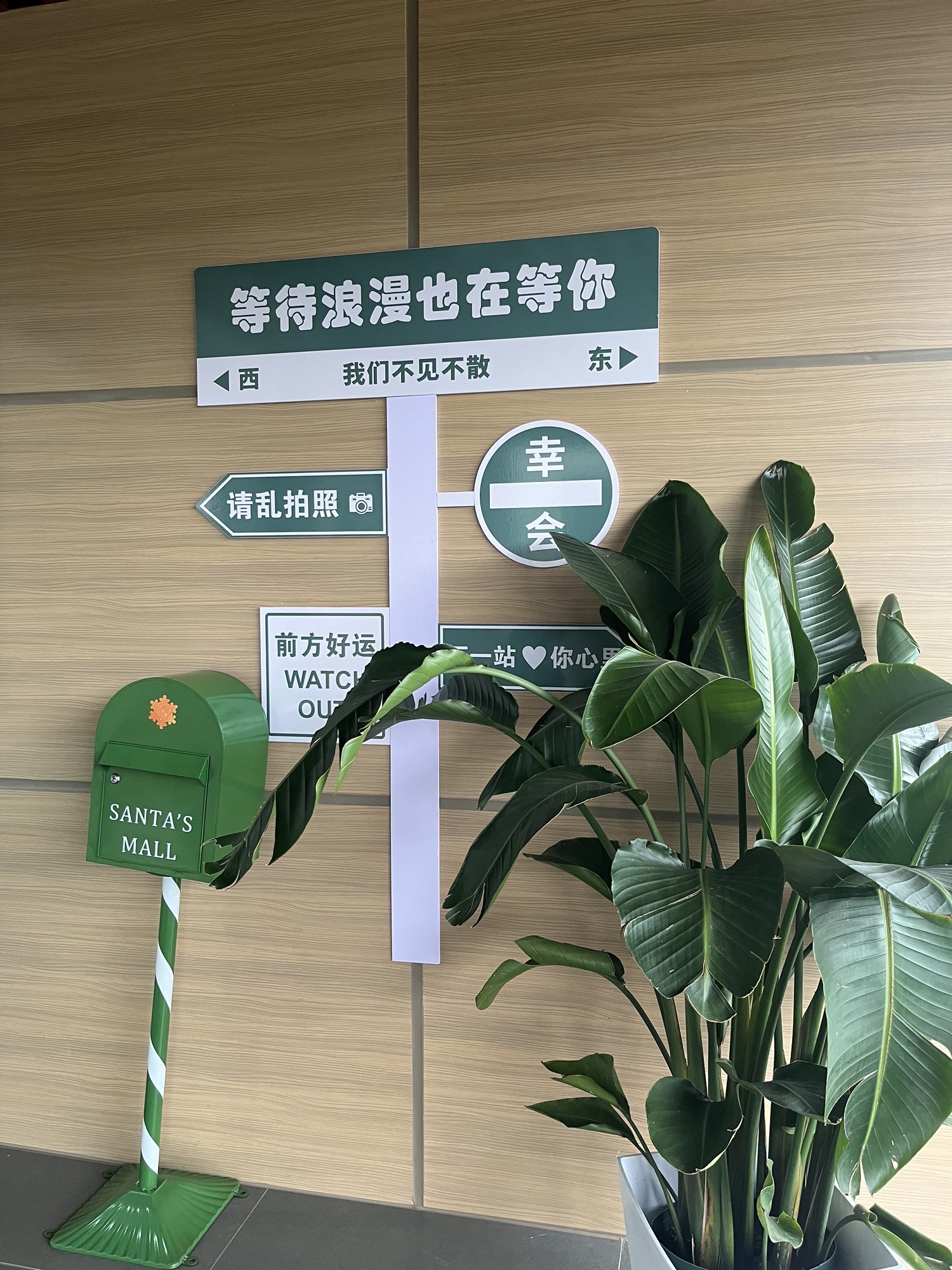 岱山海岛公园旅行图片 3