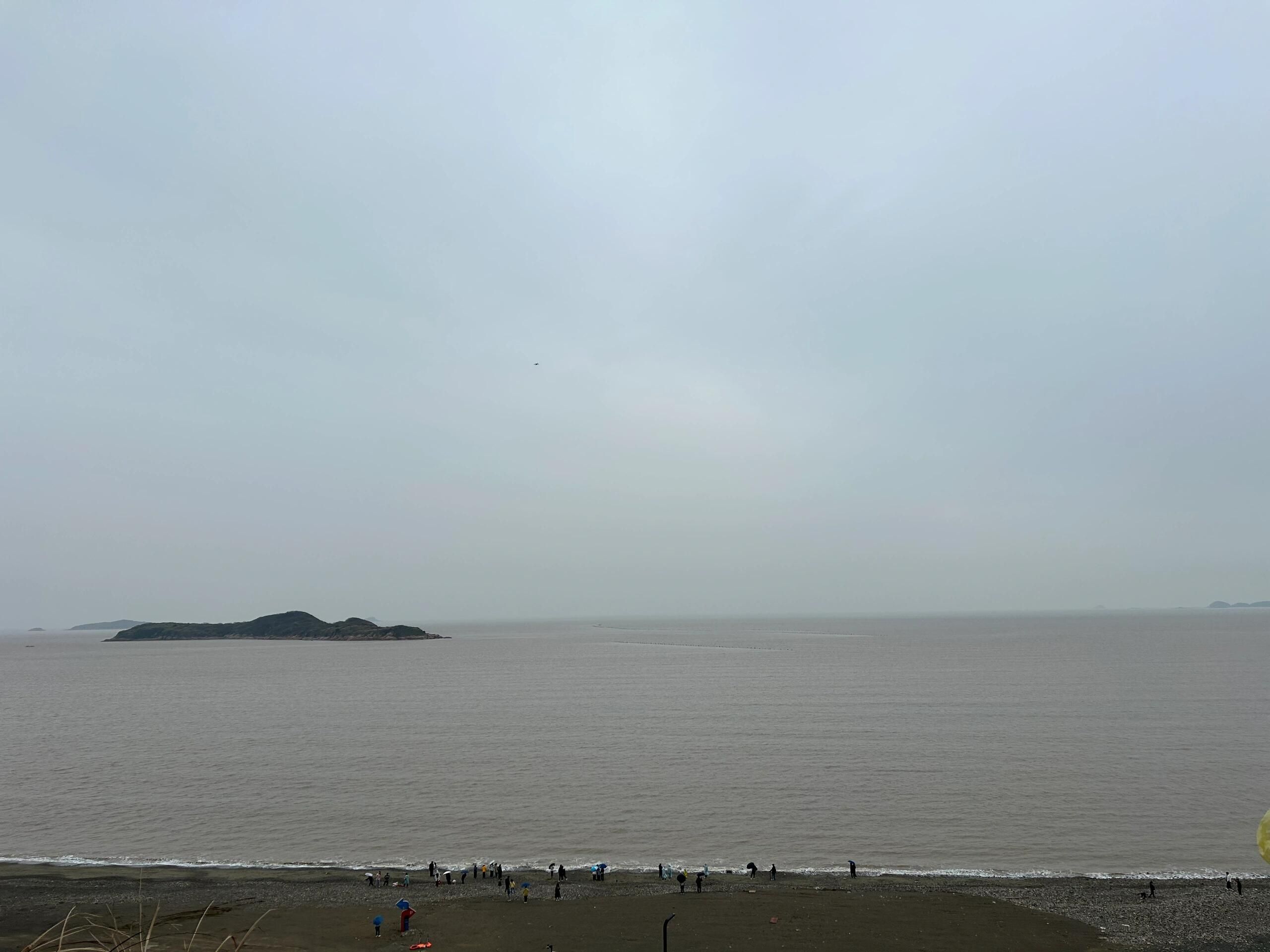 普陀区海岛公园旅行图片 3